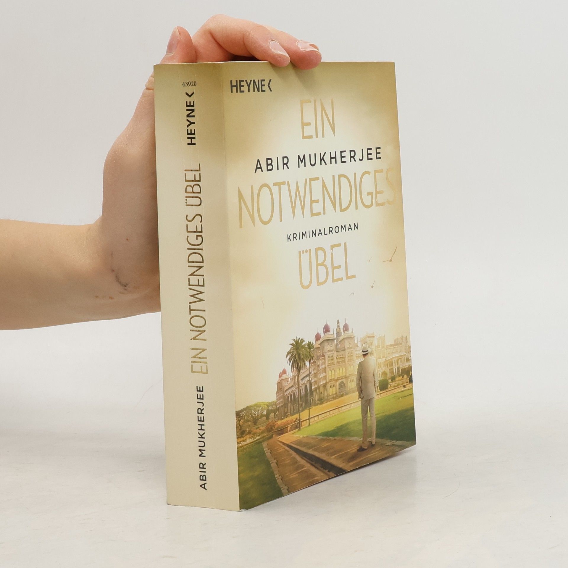 Abir Mukherjee Ein notwendiges Übel