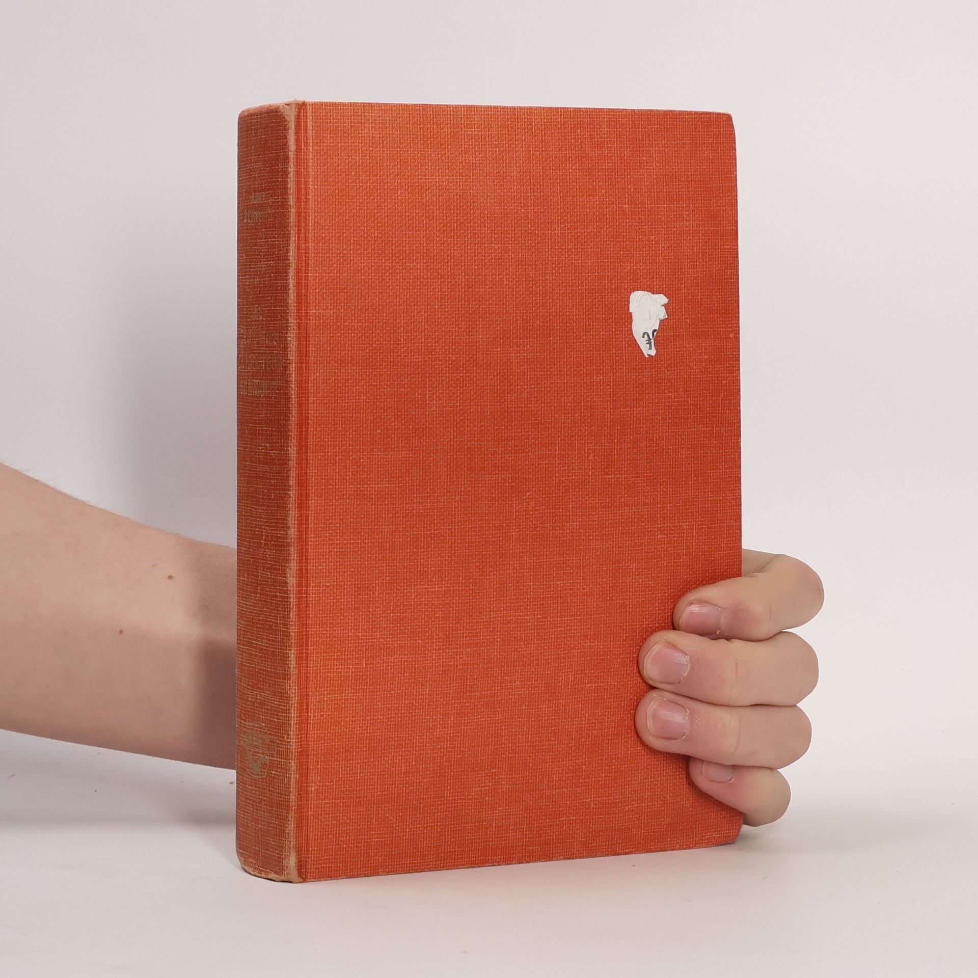 Kurt Gerwitz Les deux Fils du Docteur Schwartz