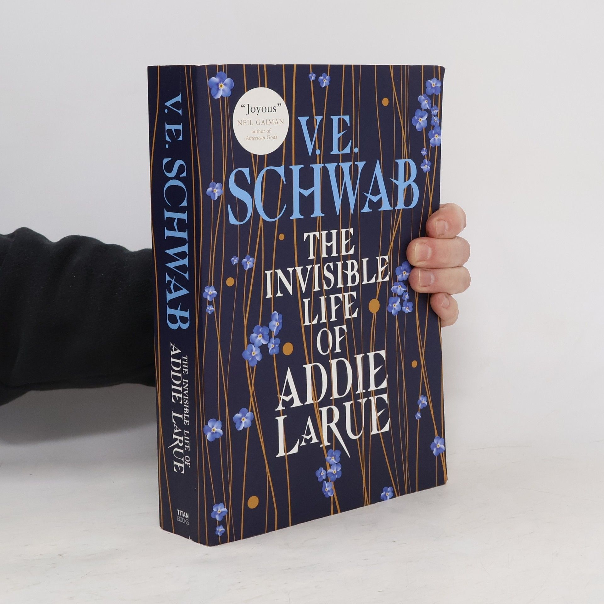 Victoria Schwab The Invisible Life of Addie Larue