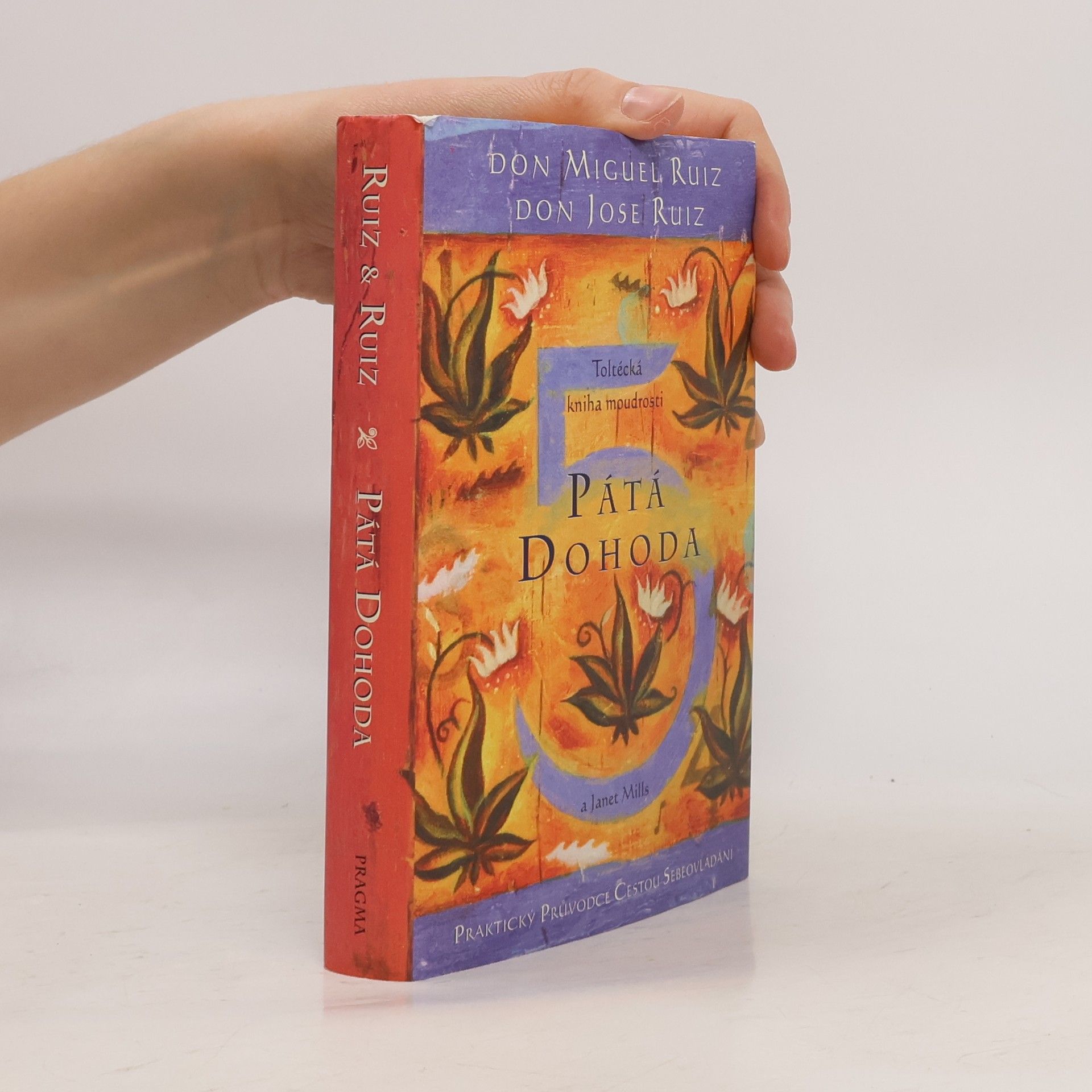 Don Miguel Ruiz Pátá dohoda