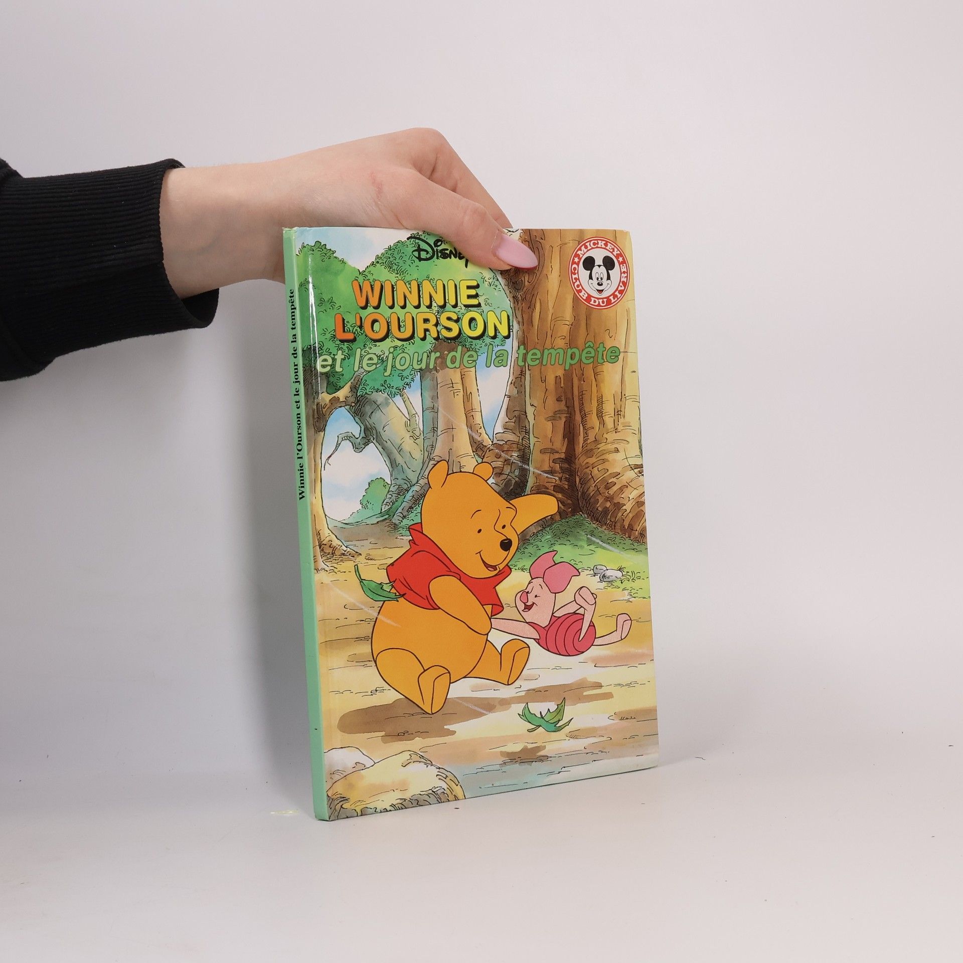 Inc Disney Enterprises Winnie l'ourson et le jour de la tempête