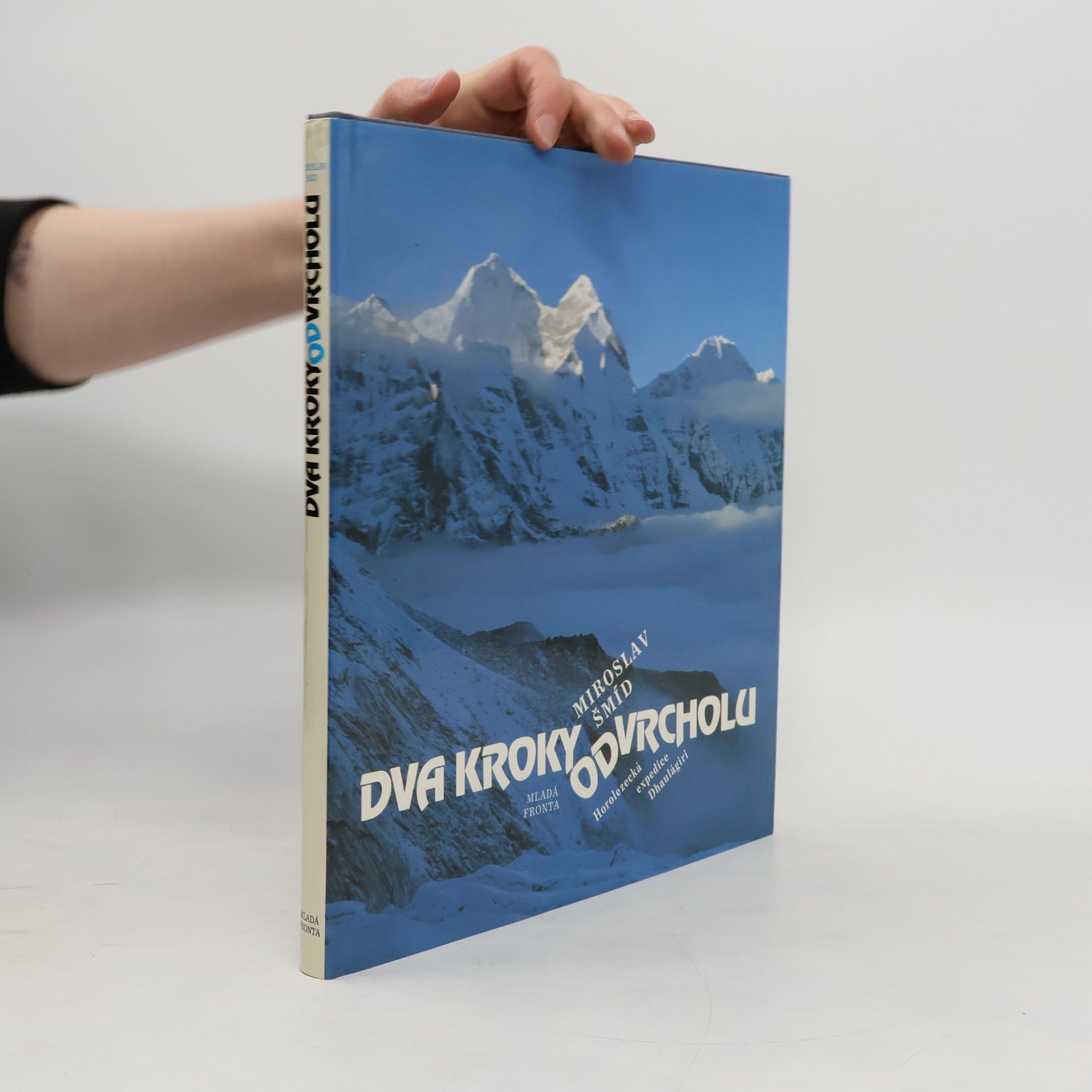 Miroslav Šmíd Dva kroky od vrcholu