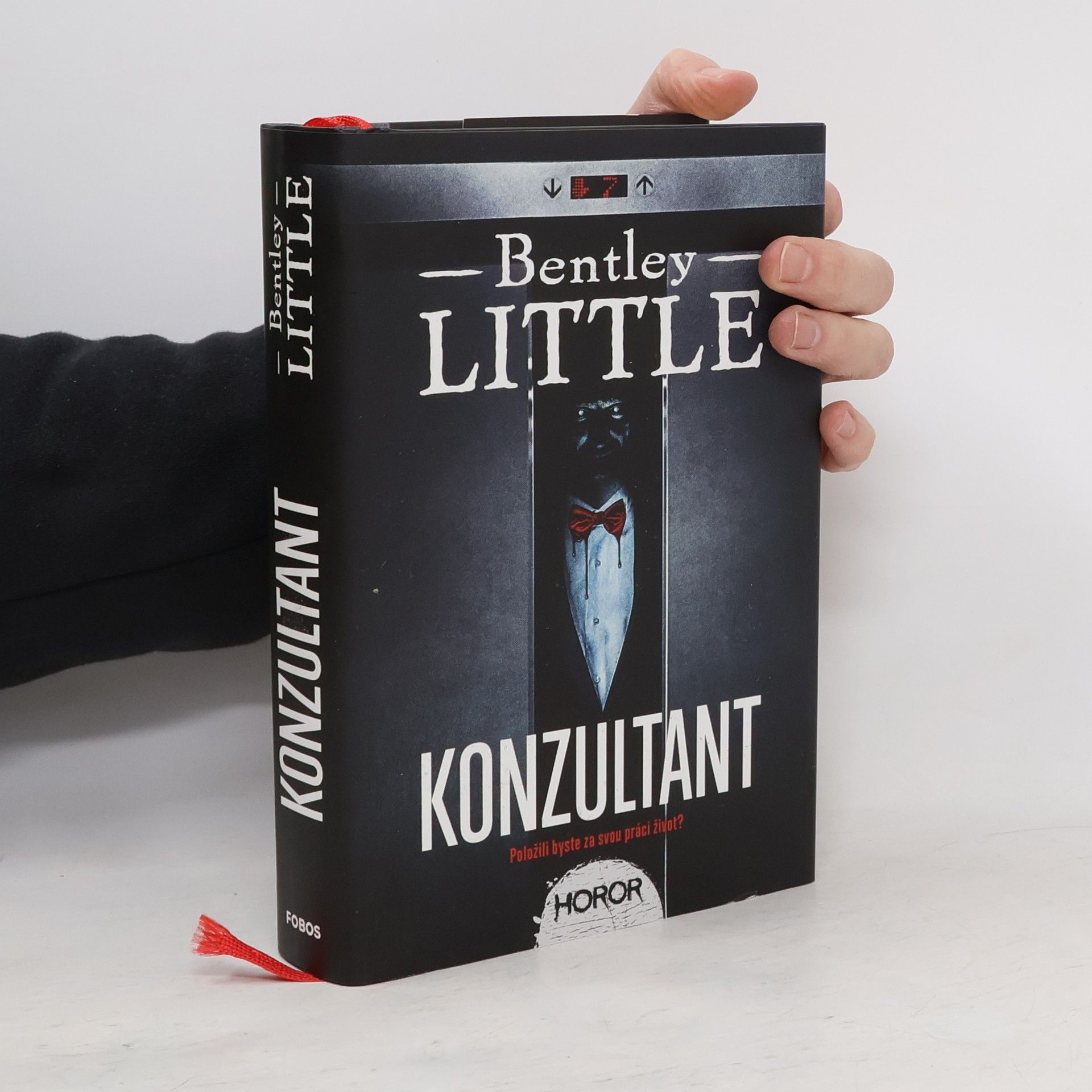 Bentley Little Konzultant