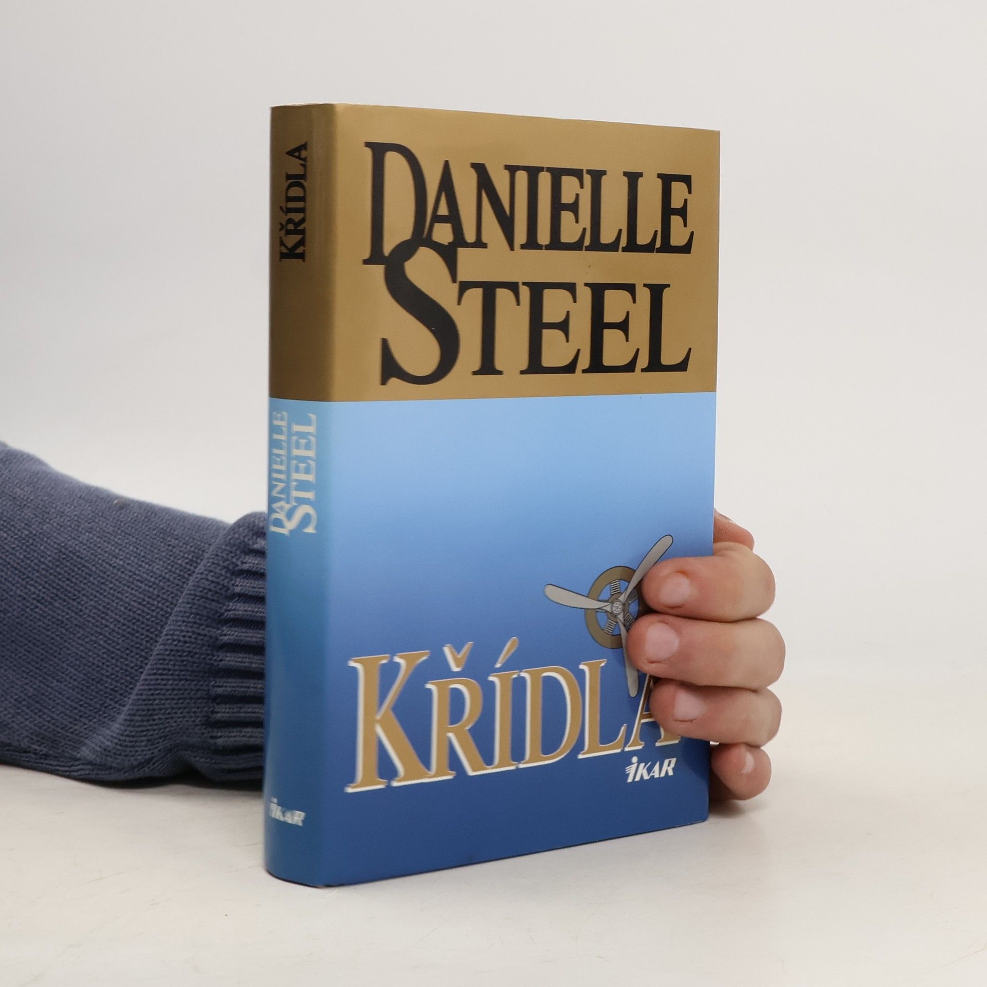 Danielle Steel Křídla