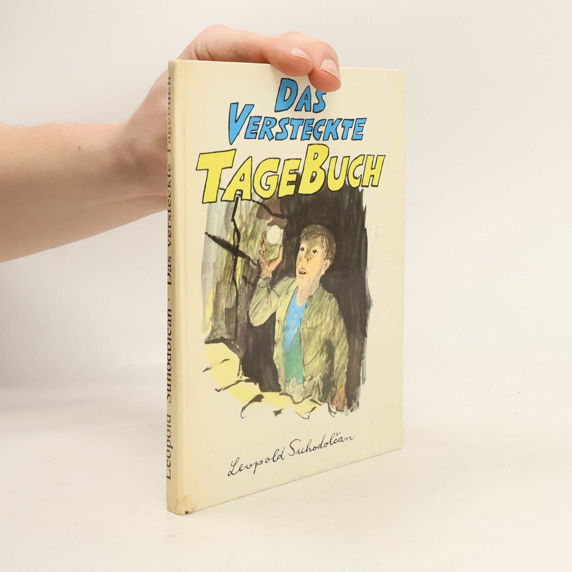 Das versteckte Tagebuch