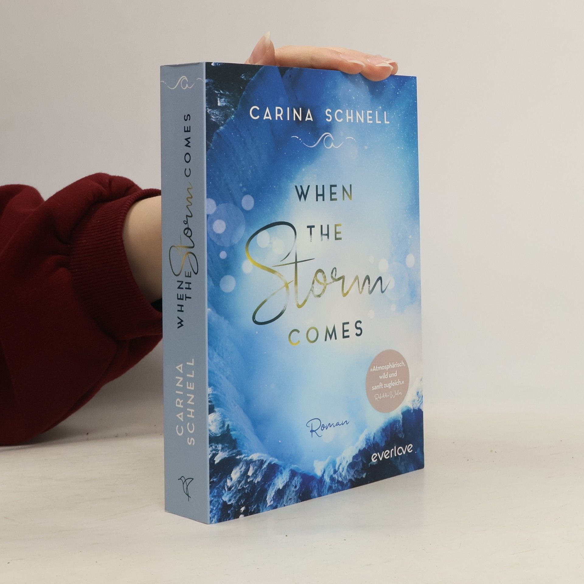 Carina Schnell When the storm comes