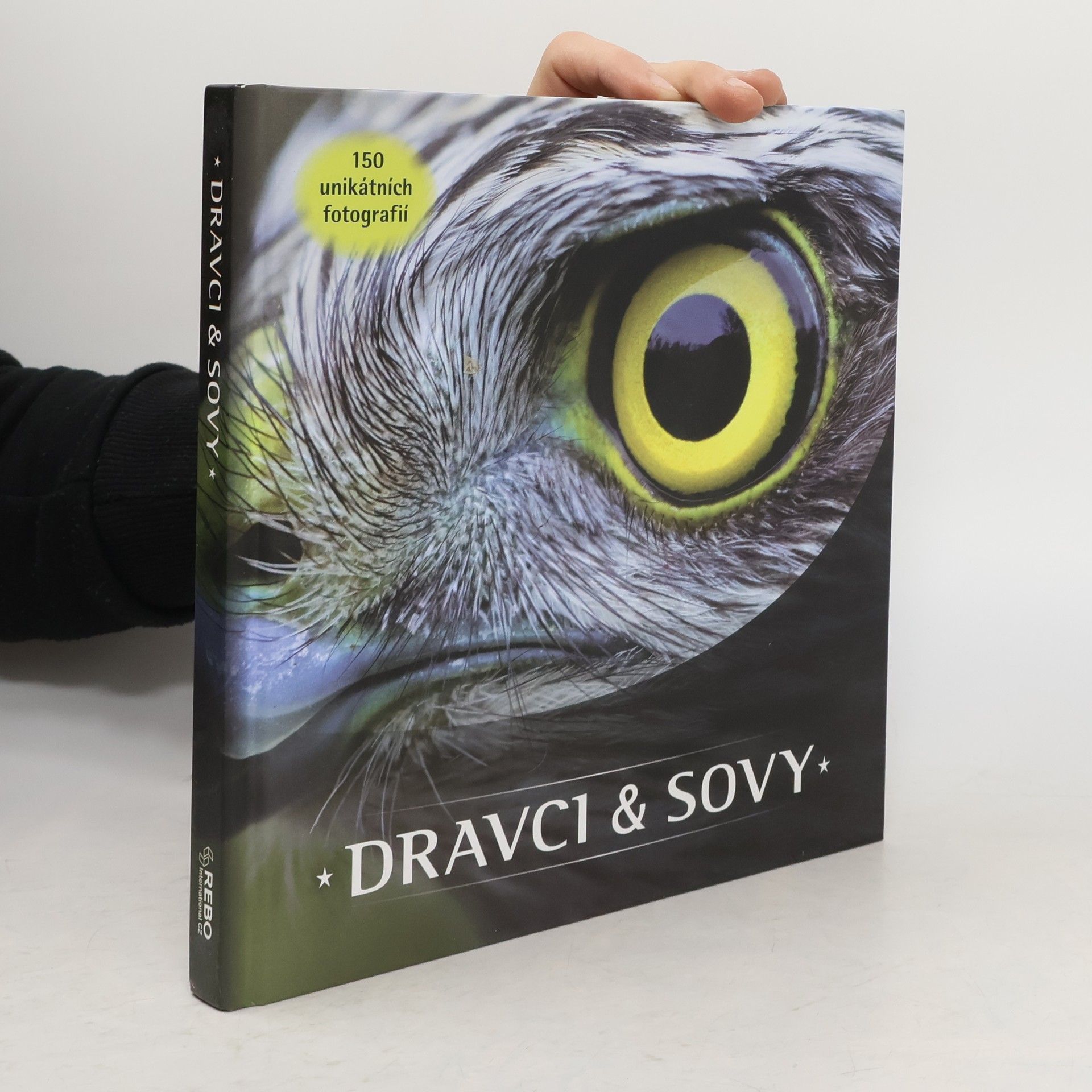 Dravci & Sovy