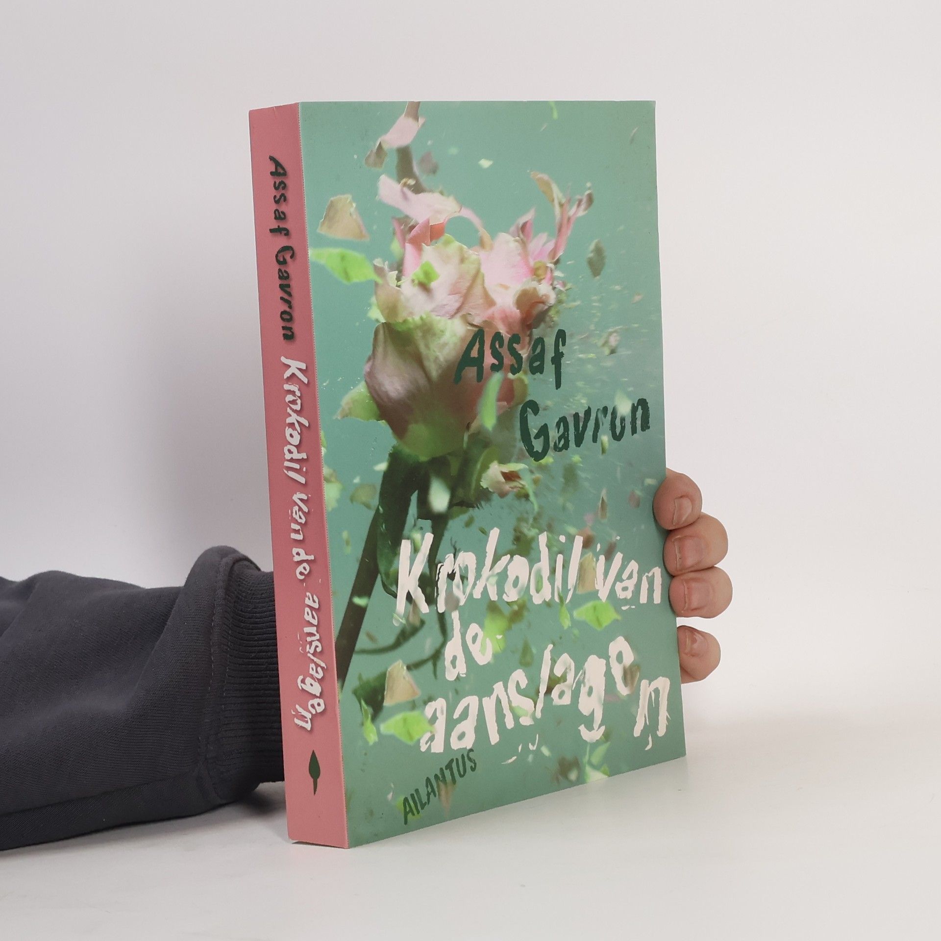 Hilde Pach Krokodil van de aanslagen