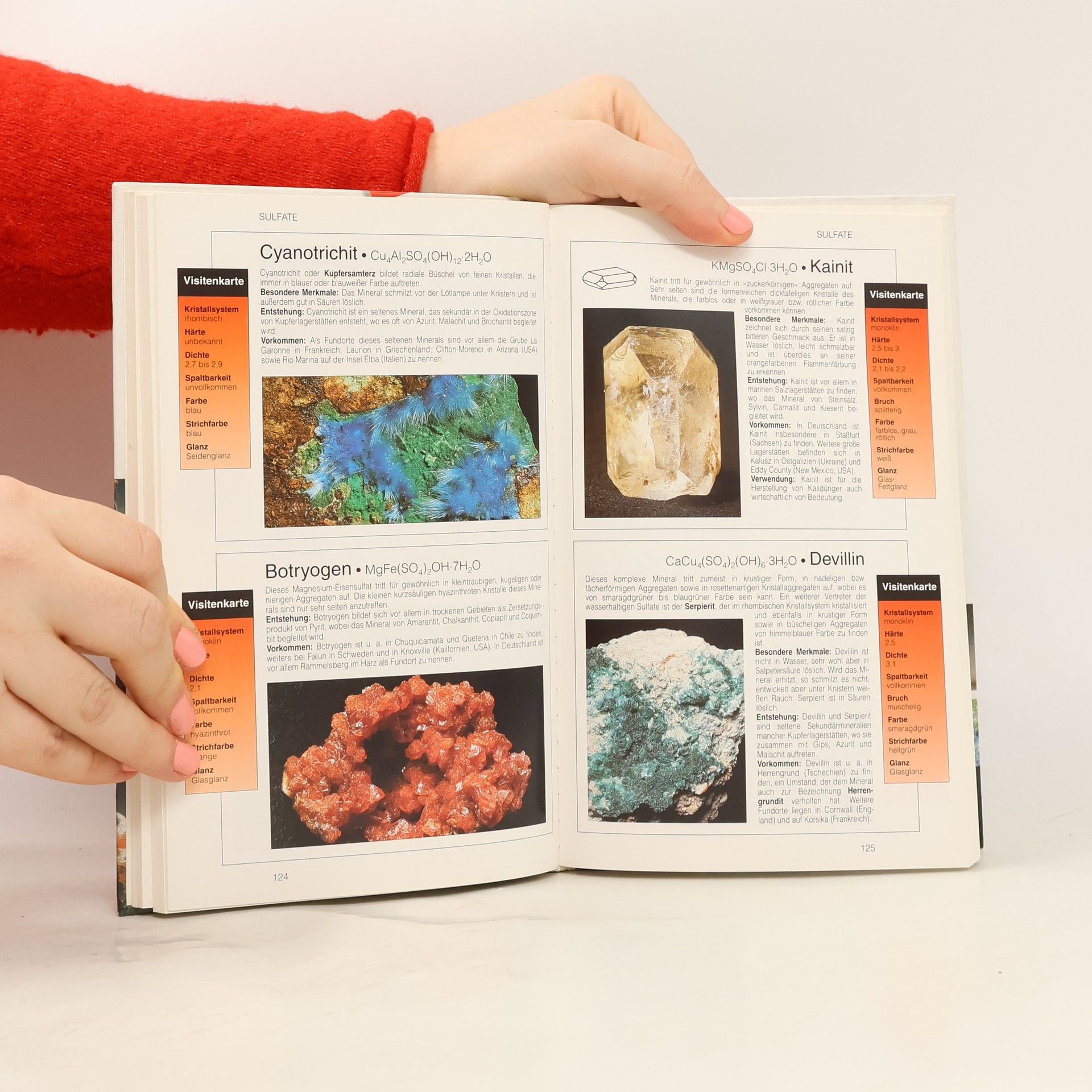 Autorenkollektiv Mineralien und Edelsteine: Ein umfassender Ratgeber zum Entdecken, Bestimmen und Sammeln von Mineralien und Edelsteinen