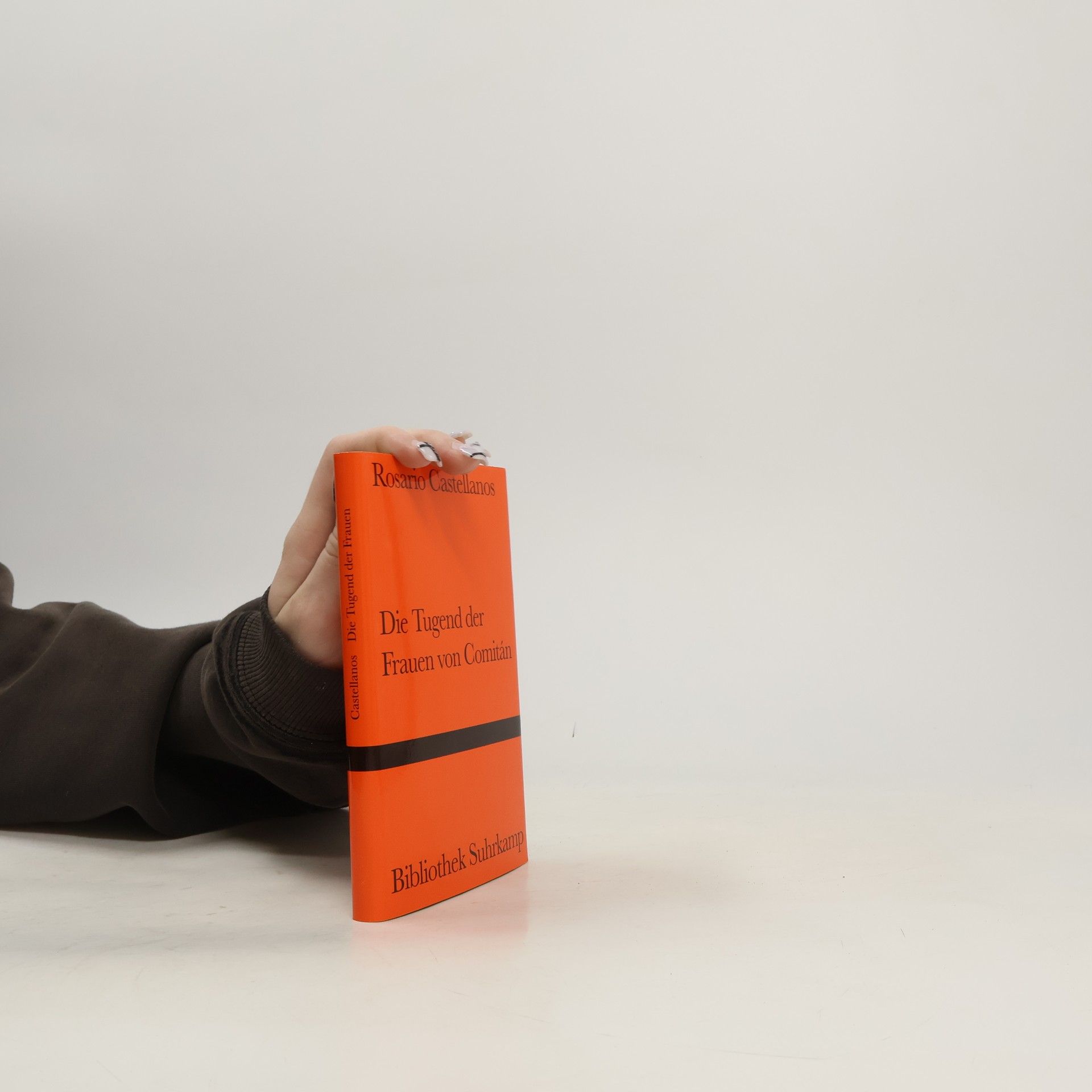 Rosario Castellanos Die Tugend der Frauen von Comitán