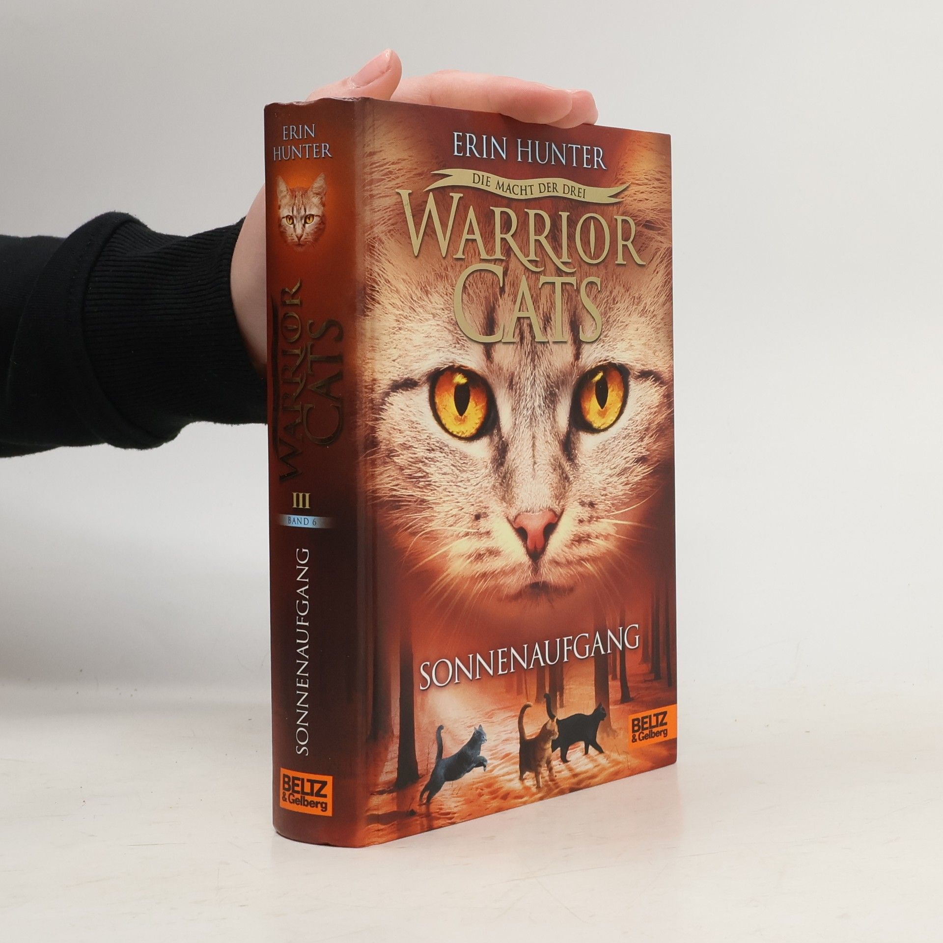 Erin Hunter Warrior Cats. Sonnenaufgang