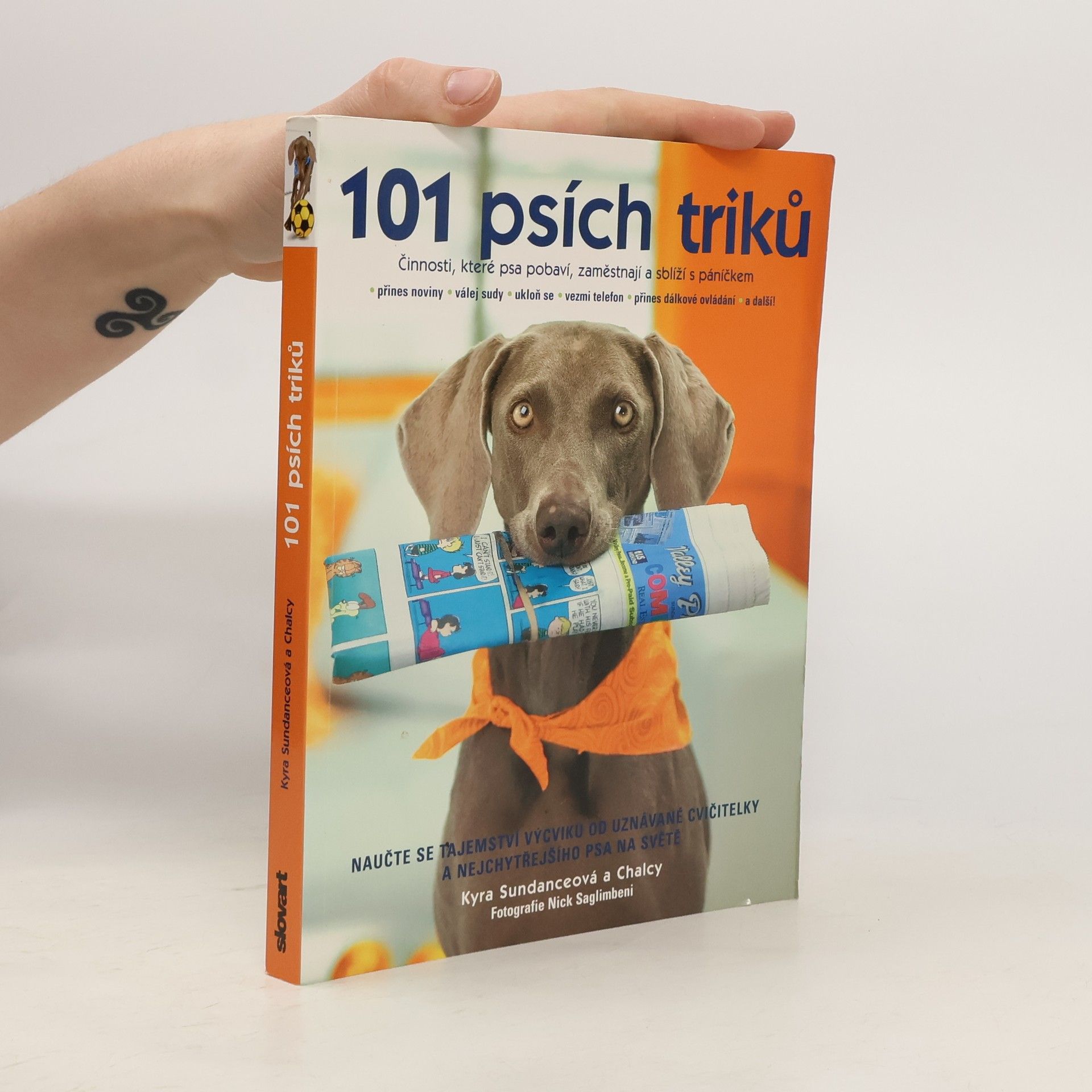 Kyra Sundance 101 psích triků : činnosti, které psa pobaví, zaměstnají a sblíží s páníčkem - krok za krokem