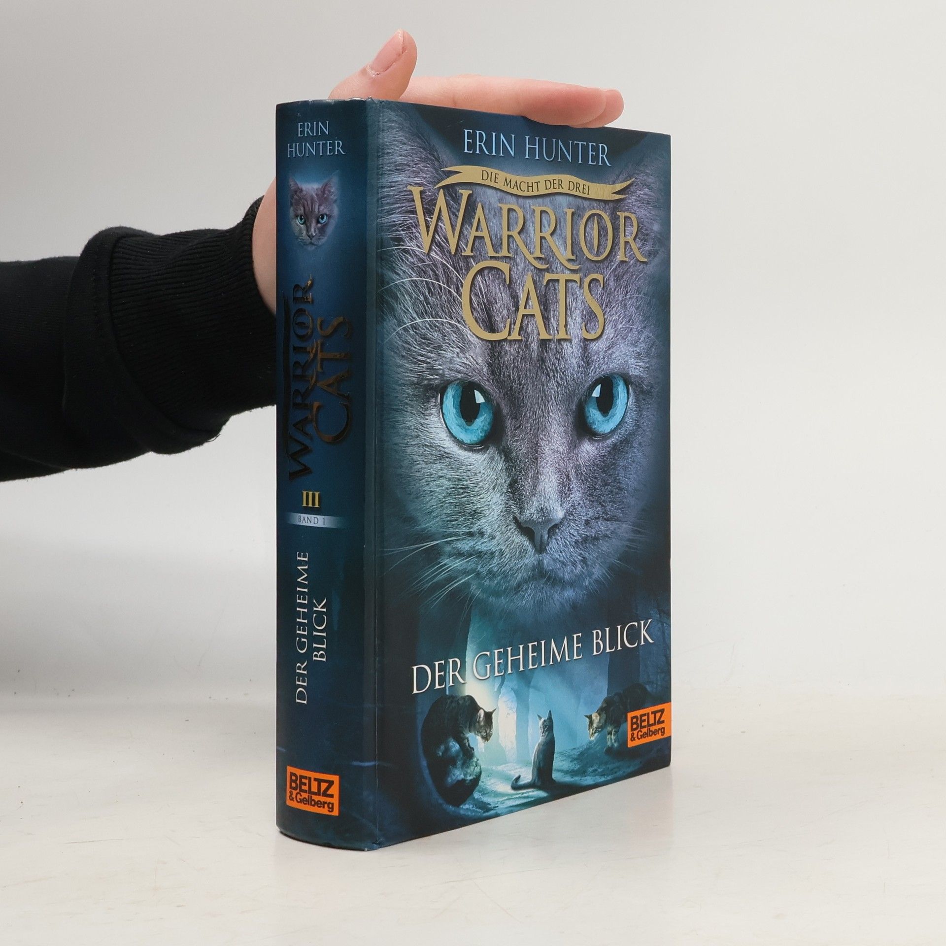 Erin Hunter Warrior Cats: Der geheime Blick