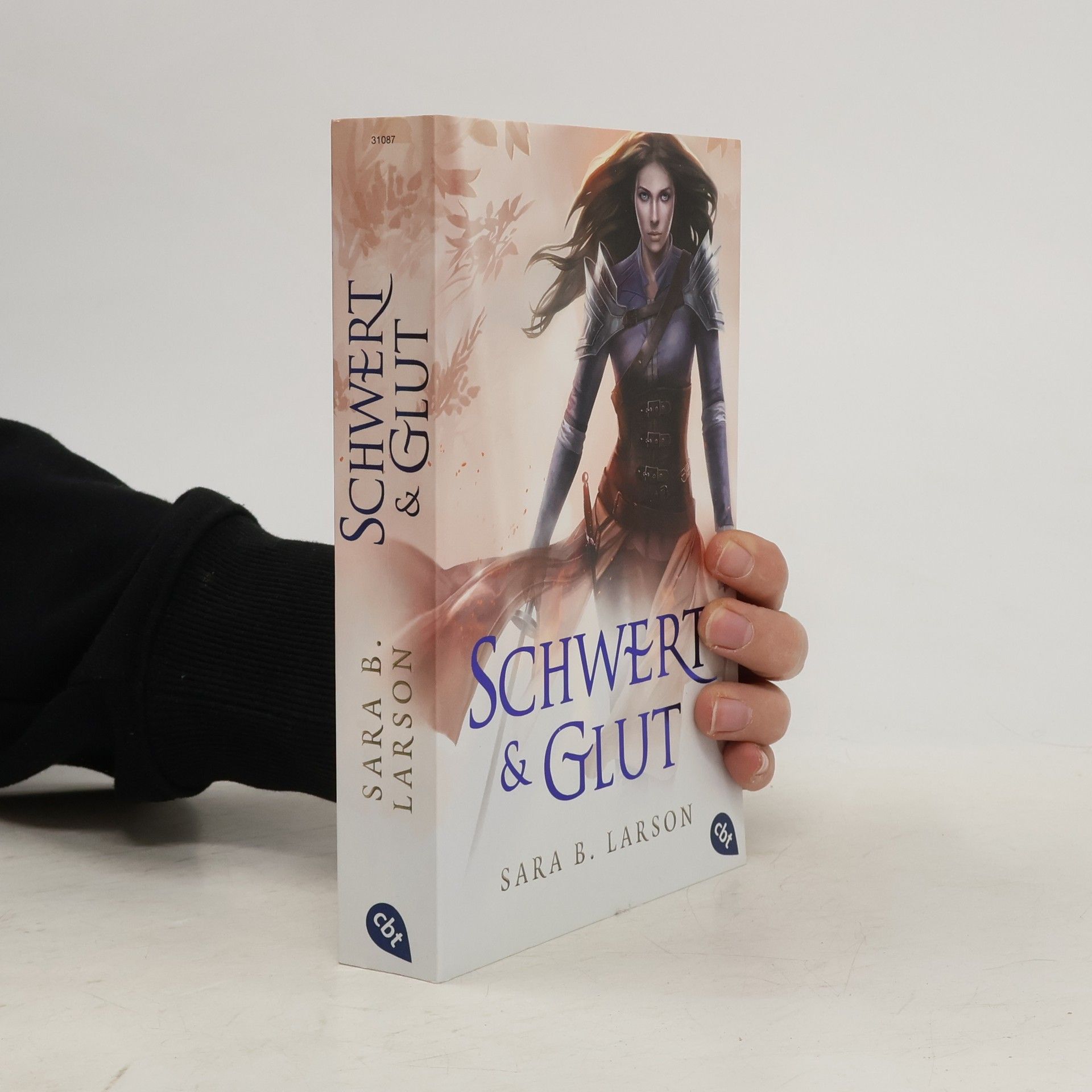 Sara B. Larson Schwert und Glut