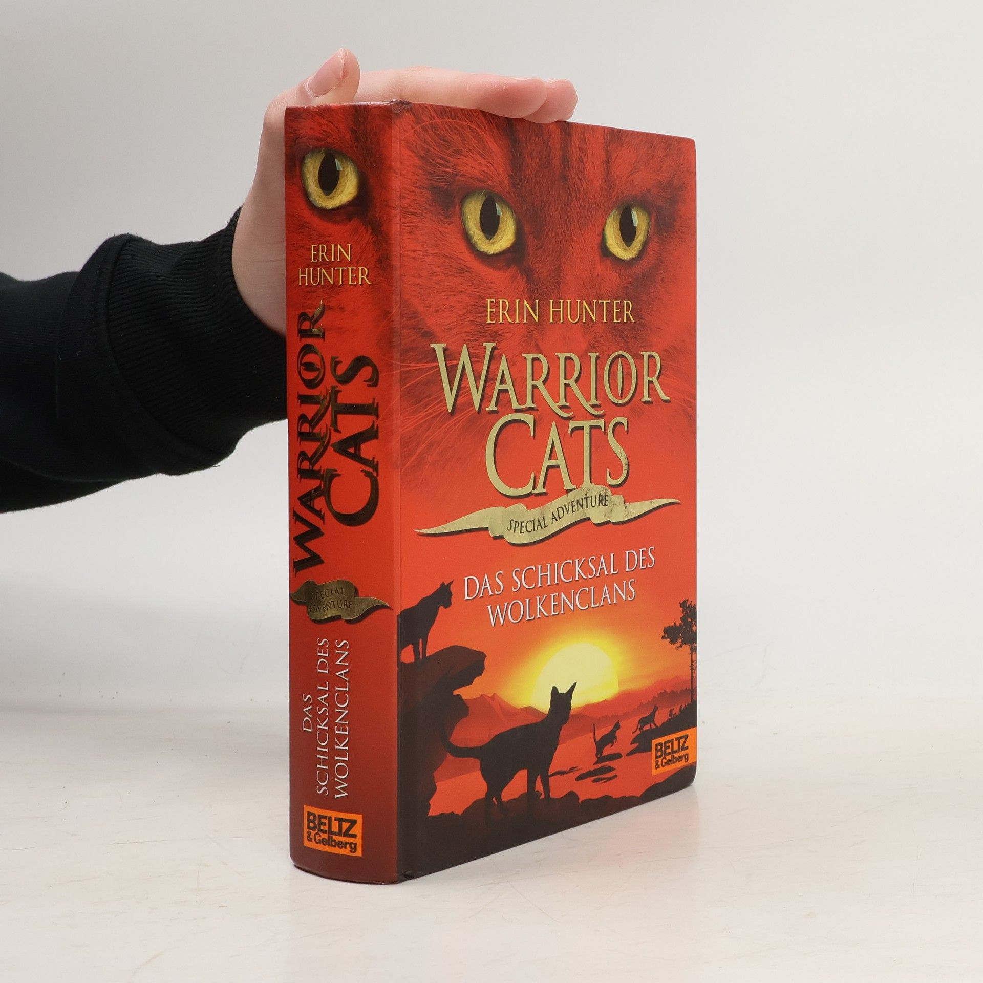 Erin Hunter Warrior Cats: Das Schicksal des WolkenClans