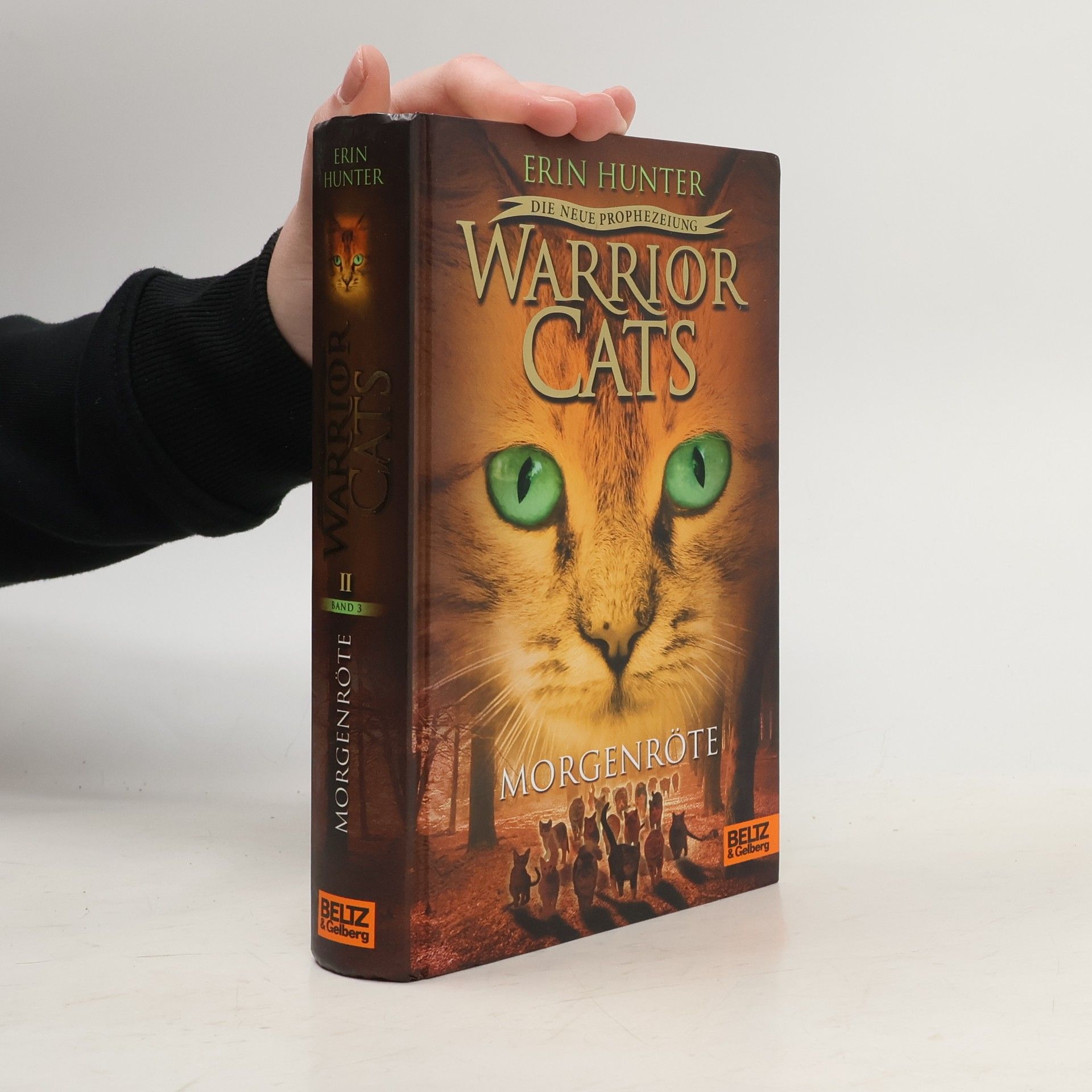 Erin Hunter Warrior Cats - Morgenröte