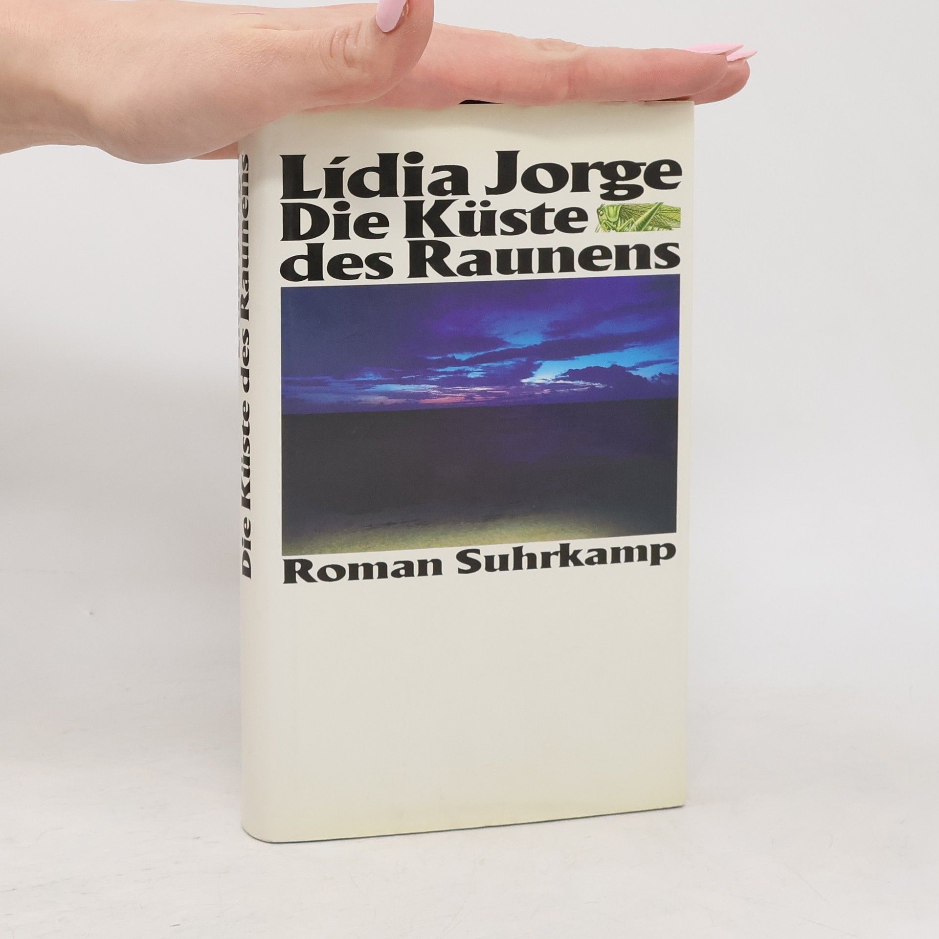 Lídia Jorge Die Küste des Raunens