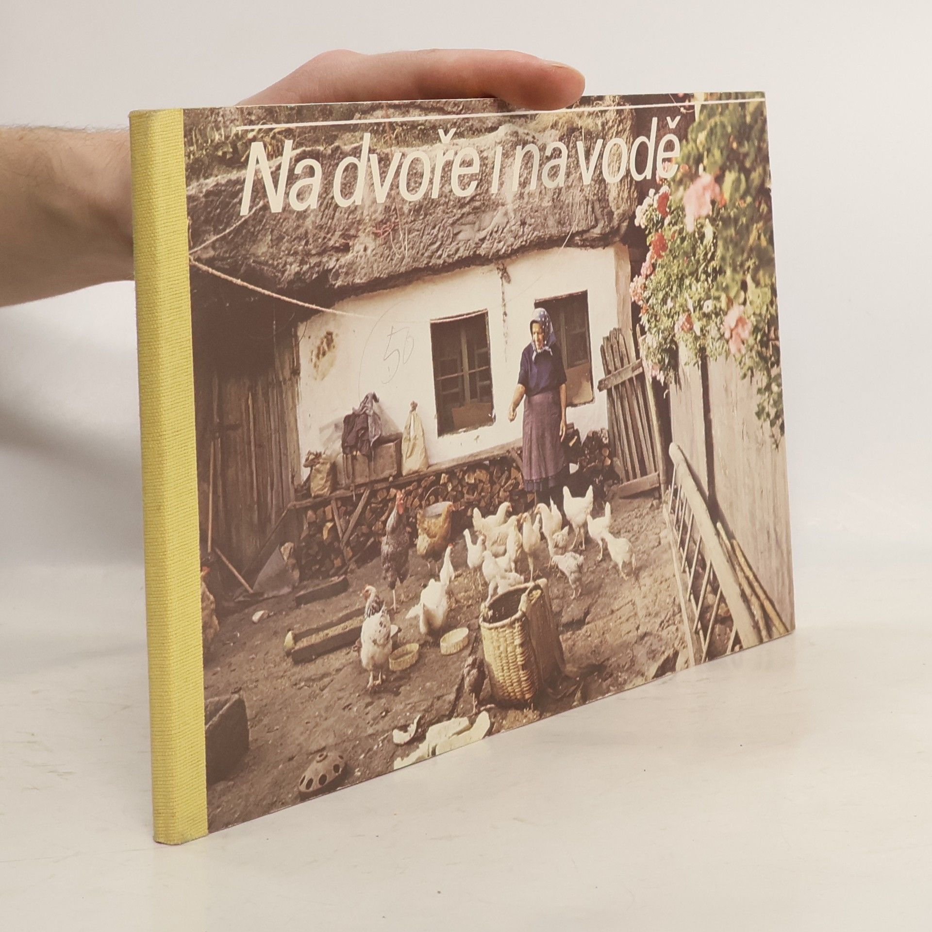 Julius Kontár Na dvore i na vode