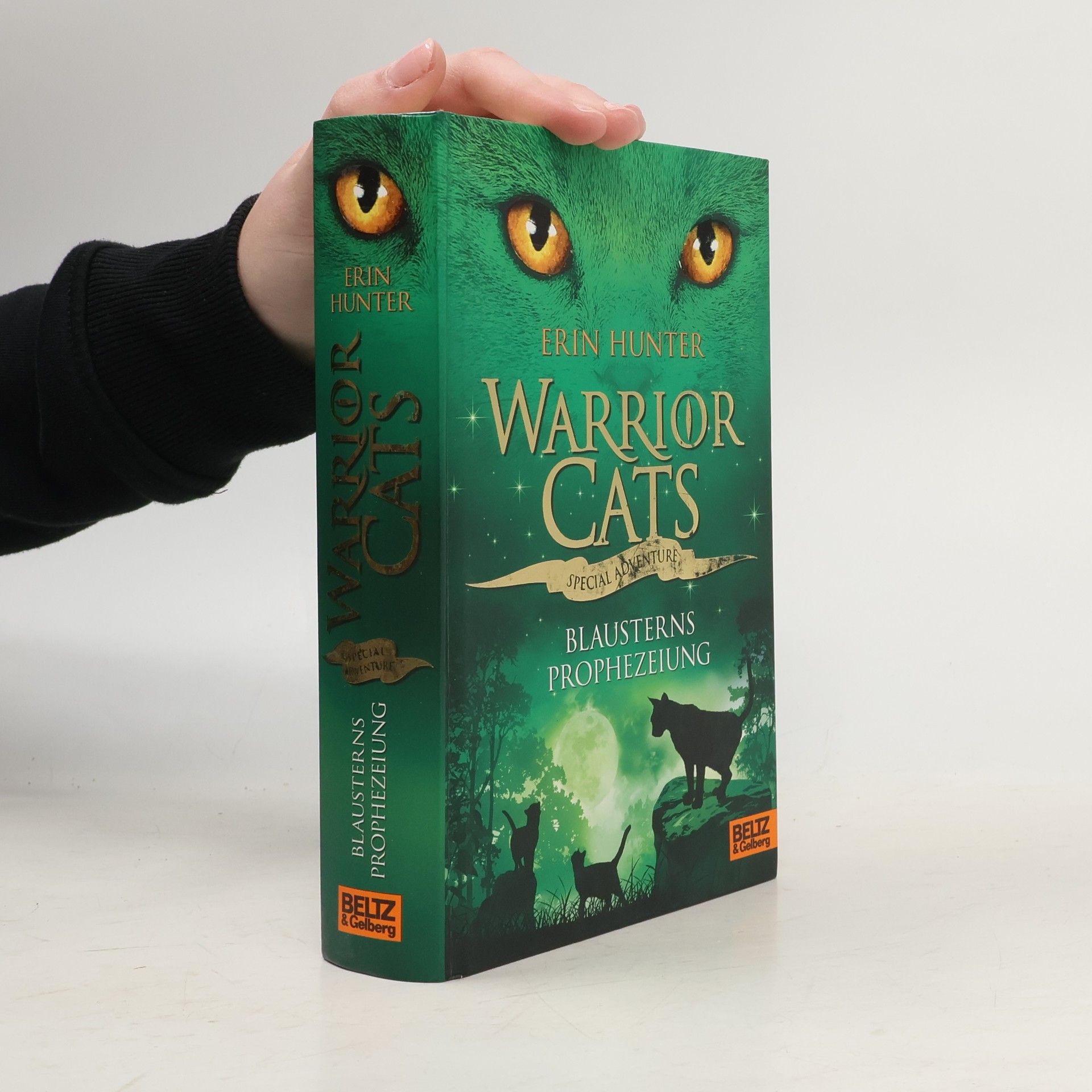 Erin Hunter Warrior cats. Special Adventure