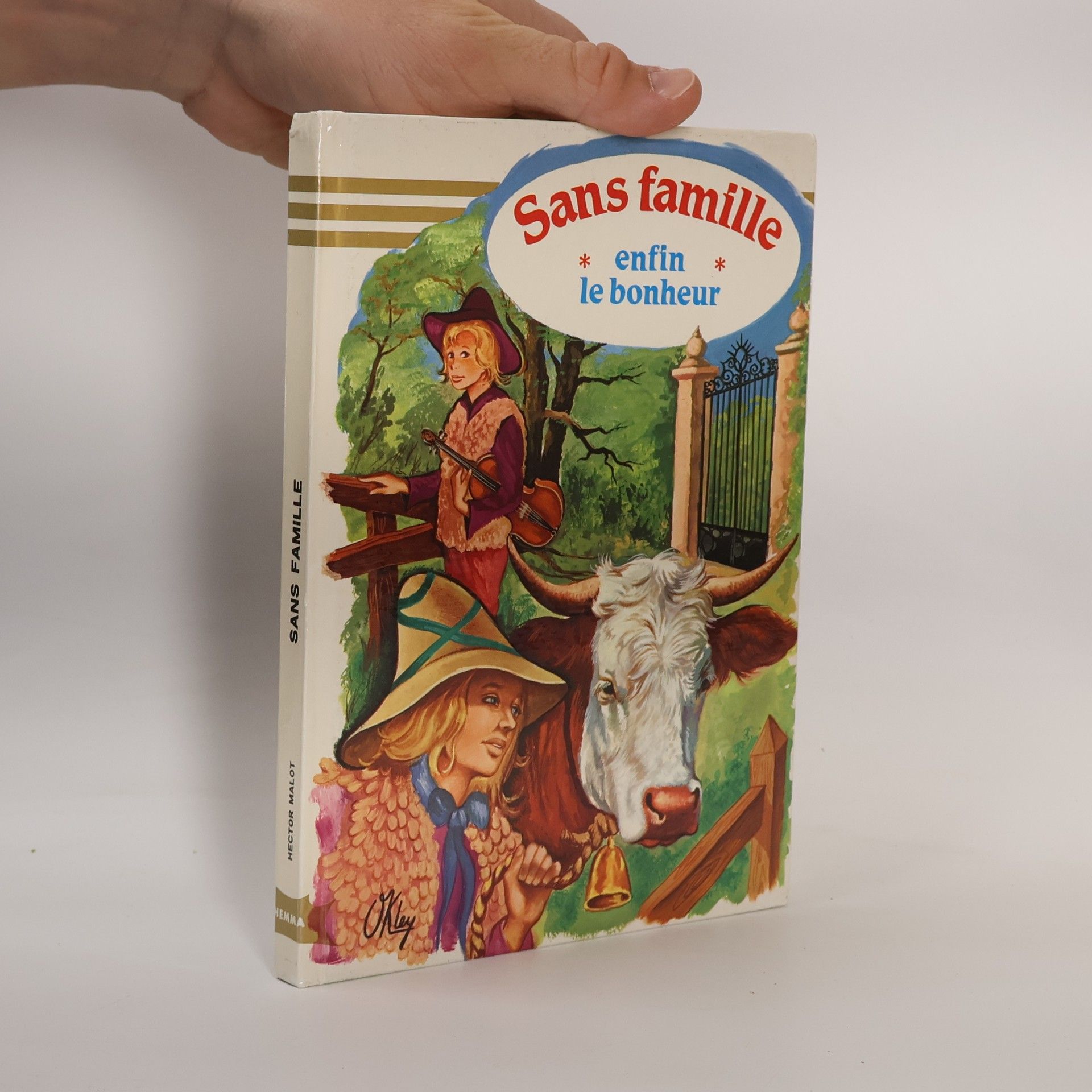 Sans famille enfin le bonheur