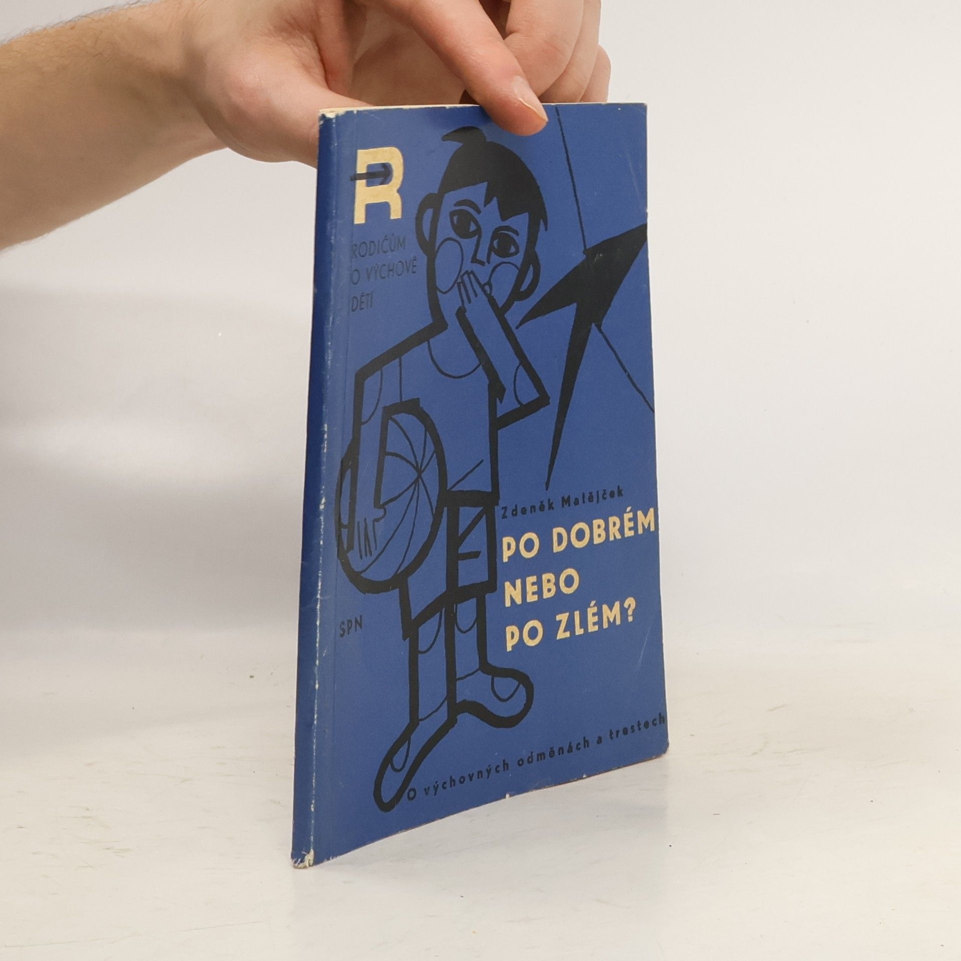 Zdeněk Matějček Po dobrém, nebo po zlém?