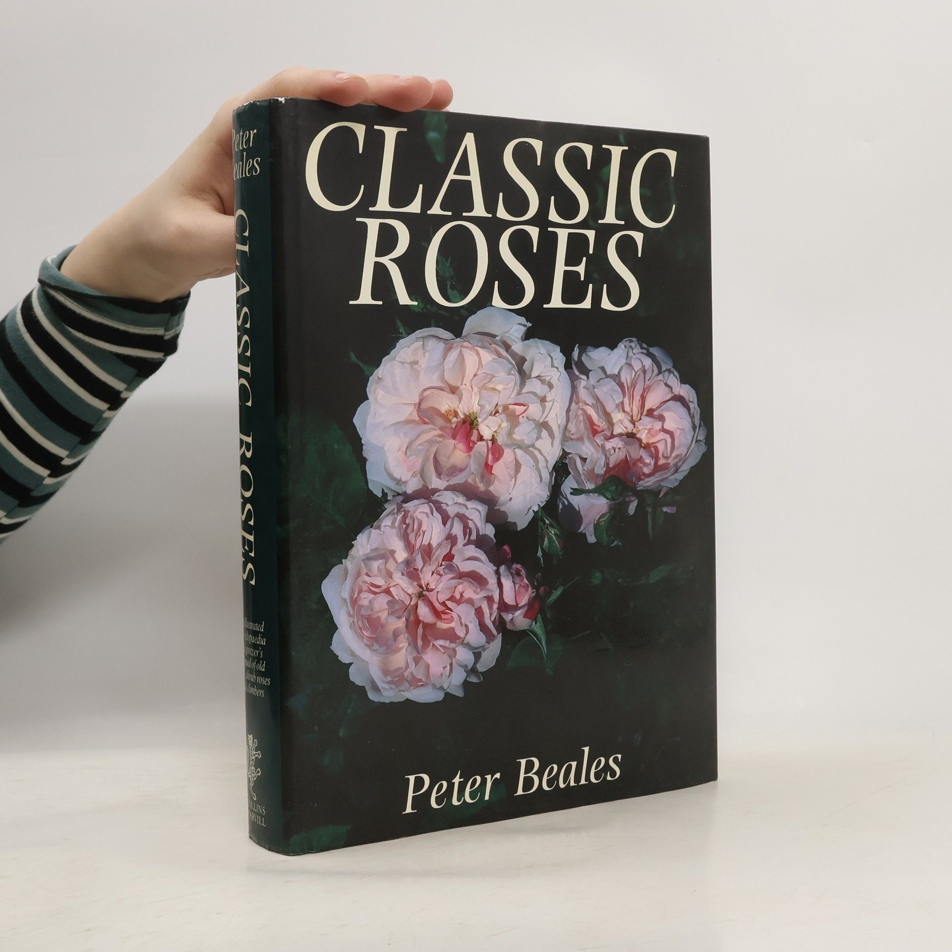 Peter Beales Classic Roses