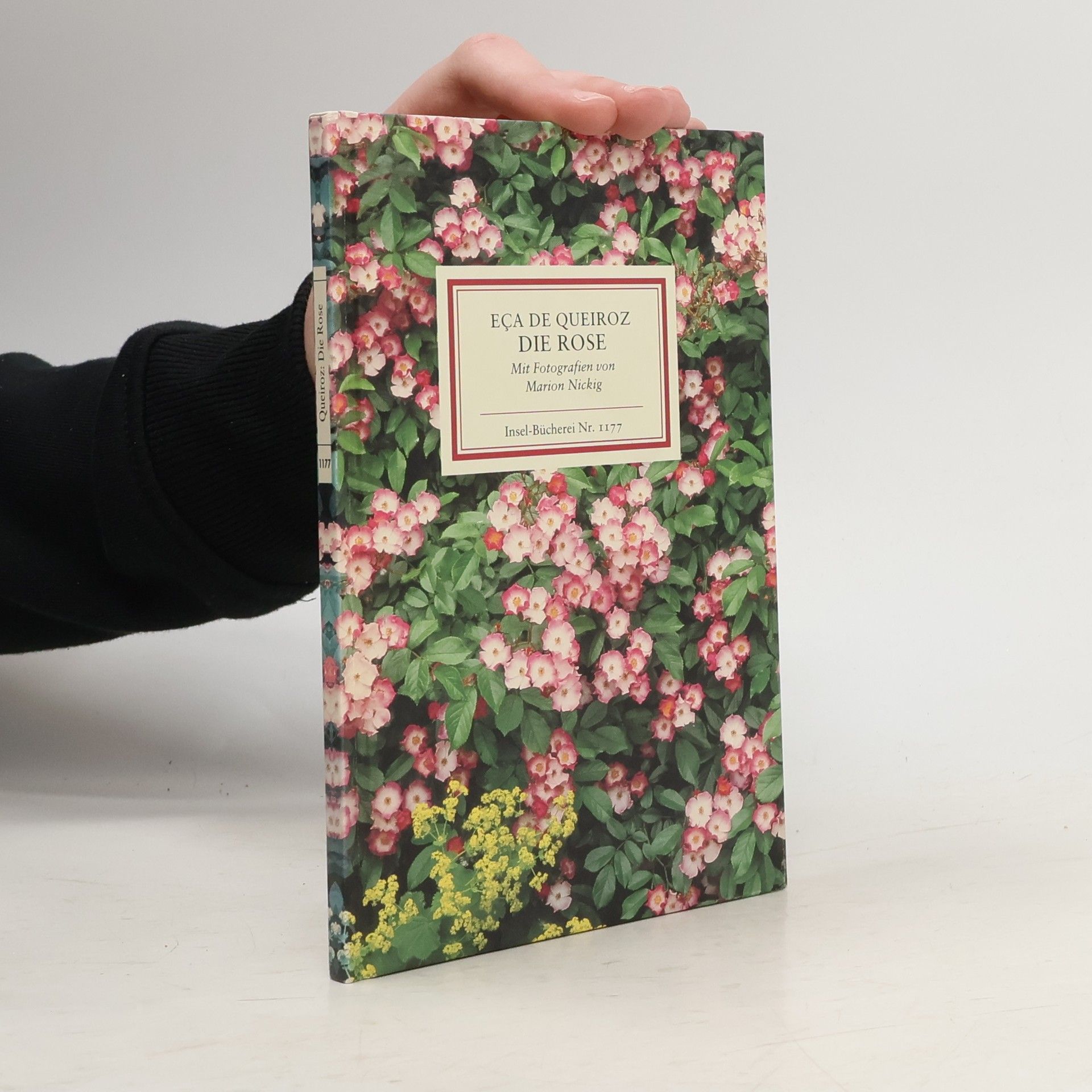 José Maria Eca de Queiroz Die Rose