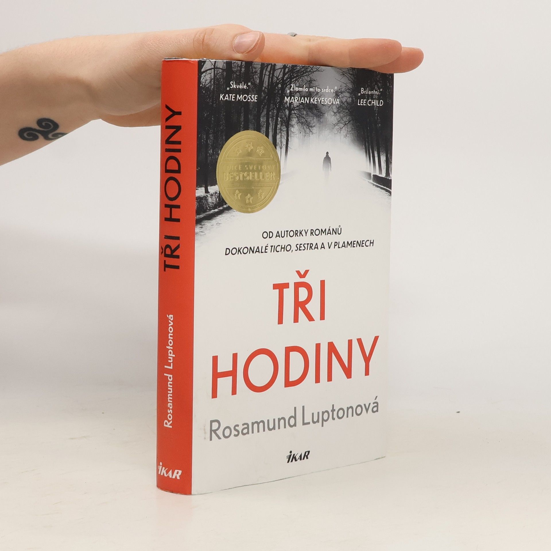 Rosamund Lupton Tři hodiny