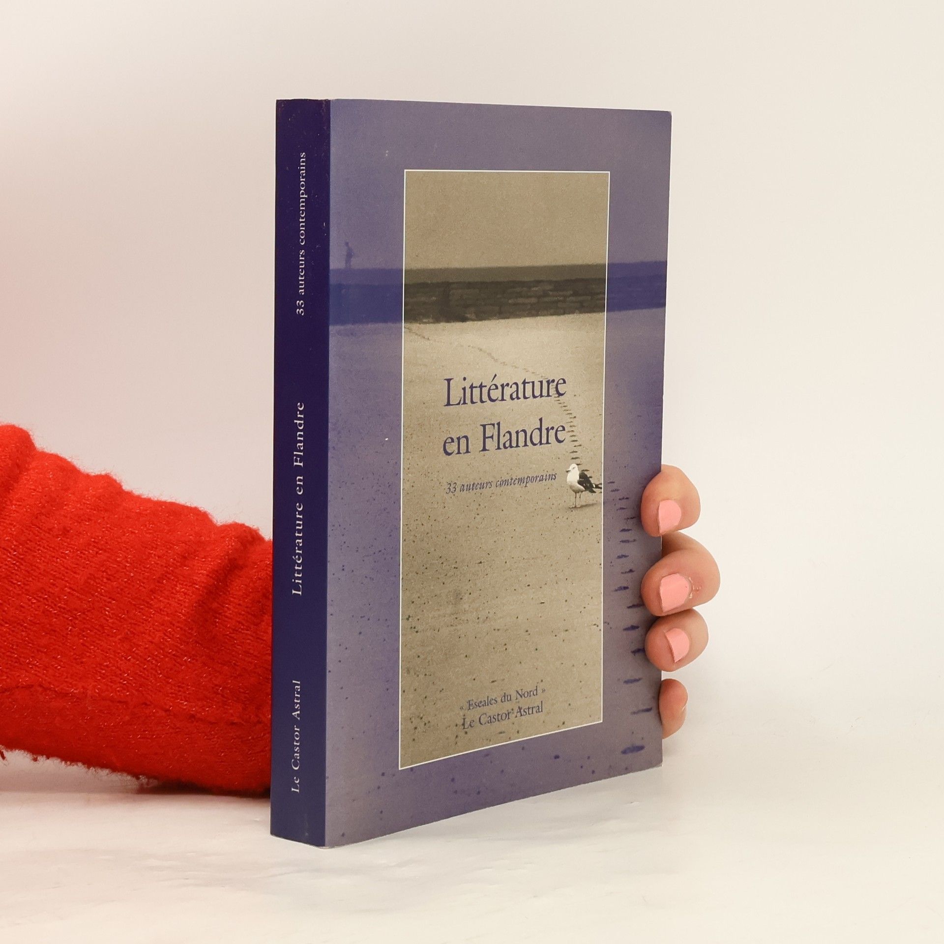 Collectif Littérature en Flandre