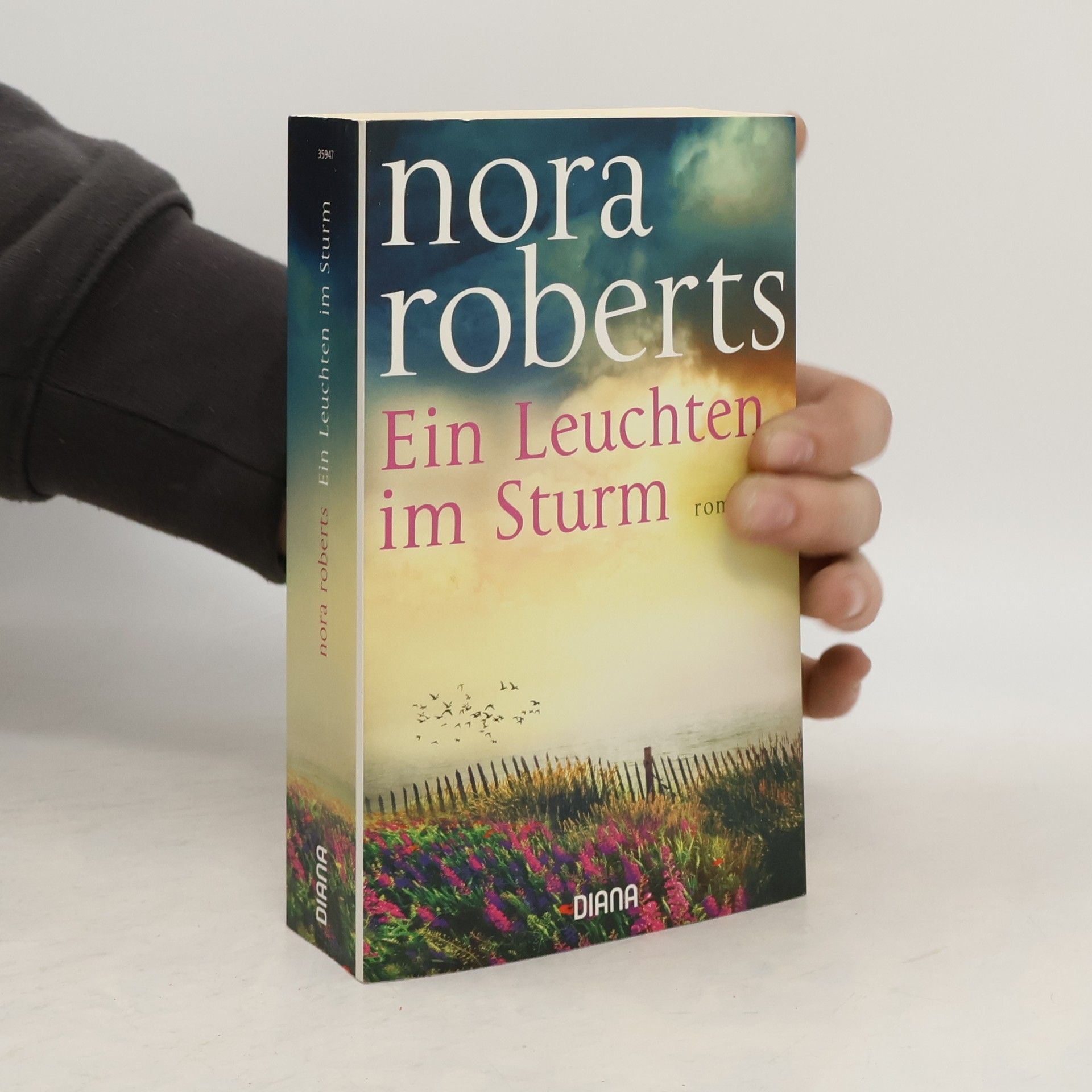 Nora Roberts Ein Leuchten im Sturm