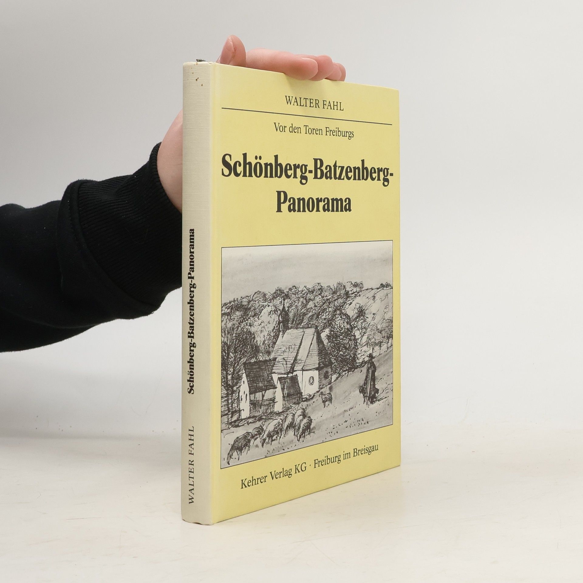 Walter Fahl Schönberg-Batzenberg-Panorama