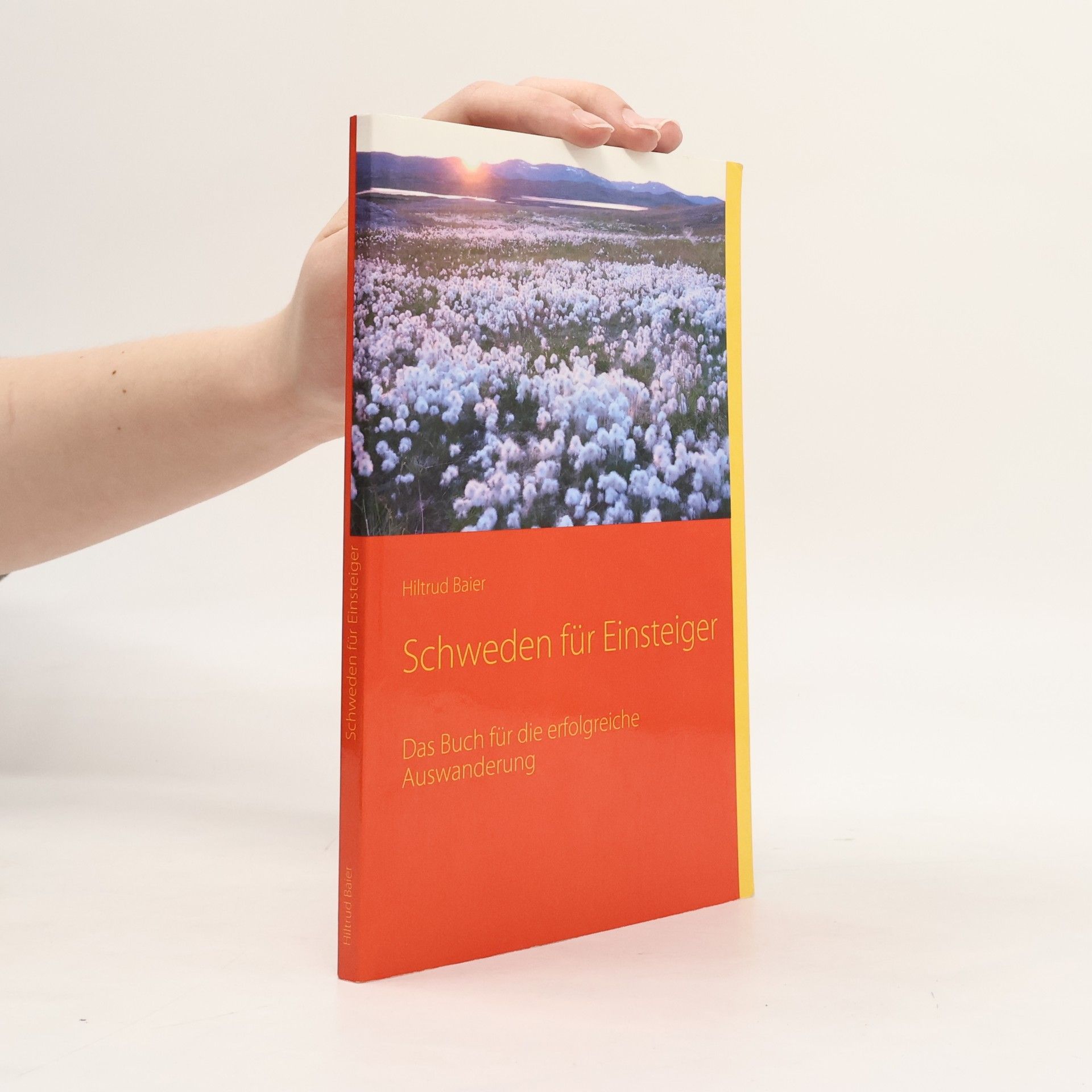 Hiltrud Baier Schweden für Einsteiger