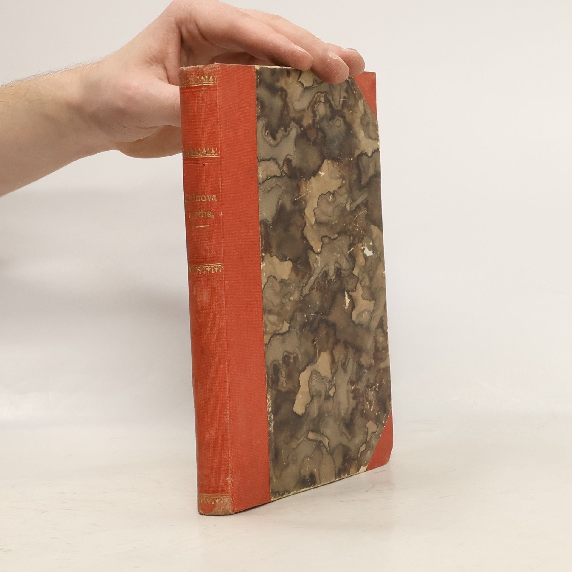 Cigánova svatba a jiné povídky slovácké a valašské