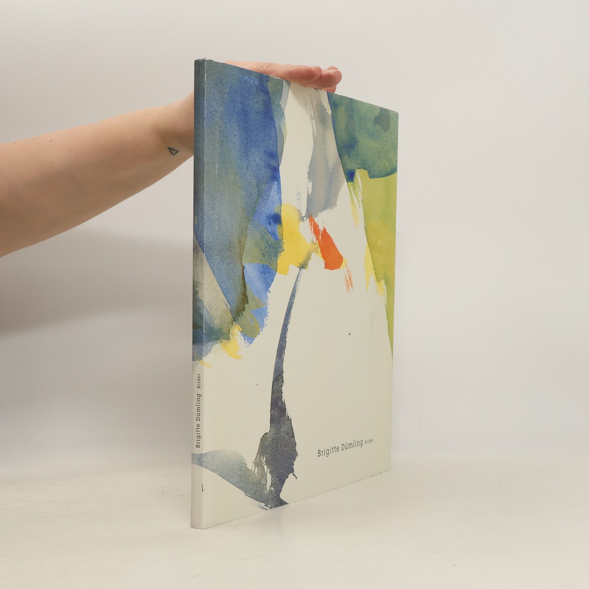 Kolektiv autorů Brigitte Dümling - Bilder