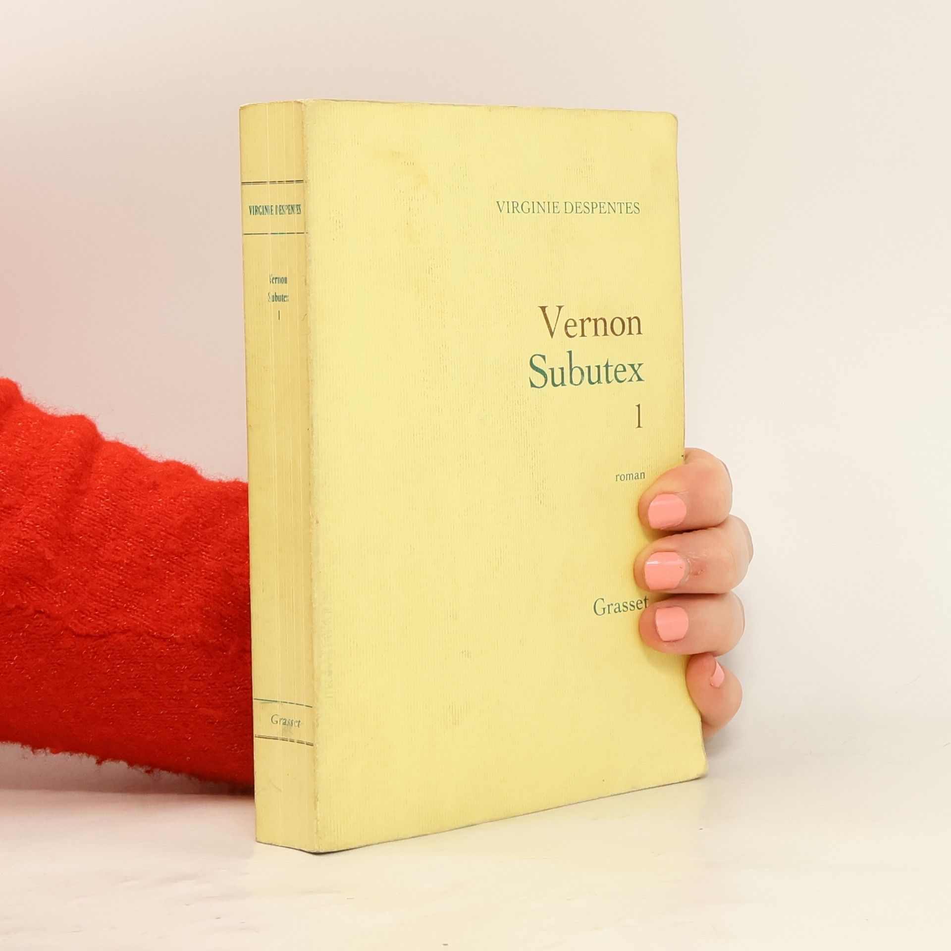 Virginie Despentes Vernon Subutex 1