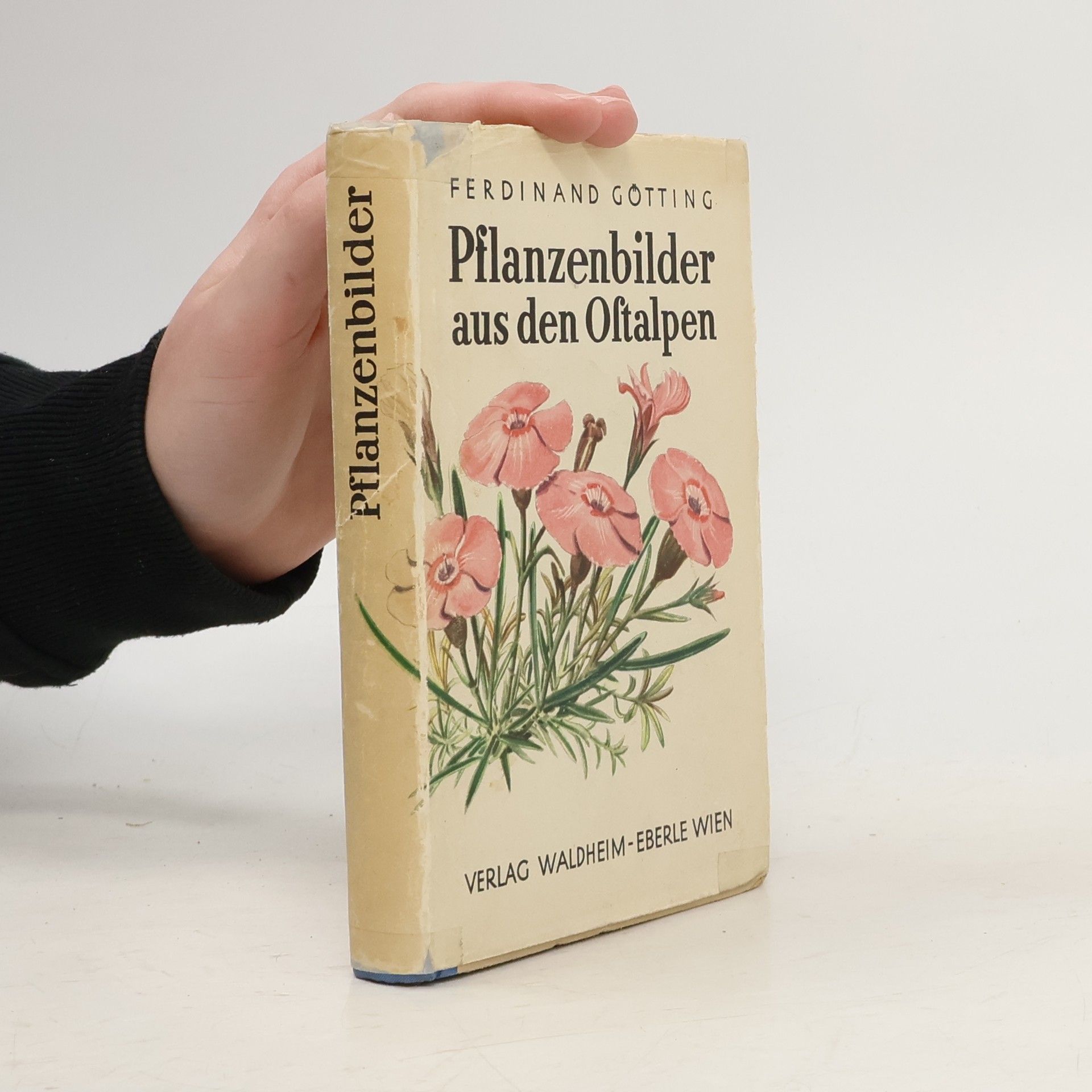 Ferdinand Götting Pflanzenbilder aus den Alpen