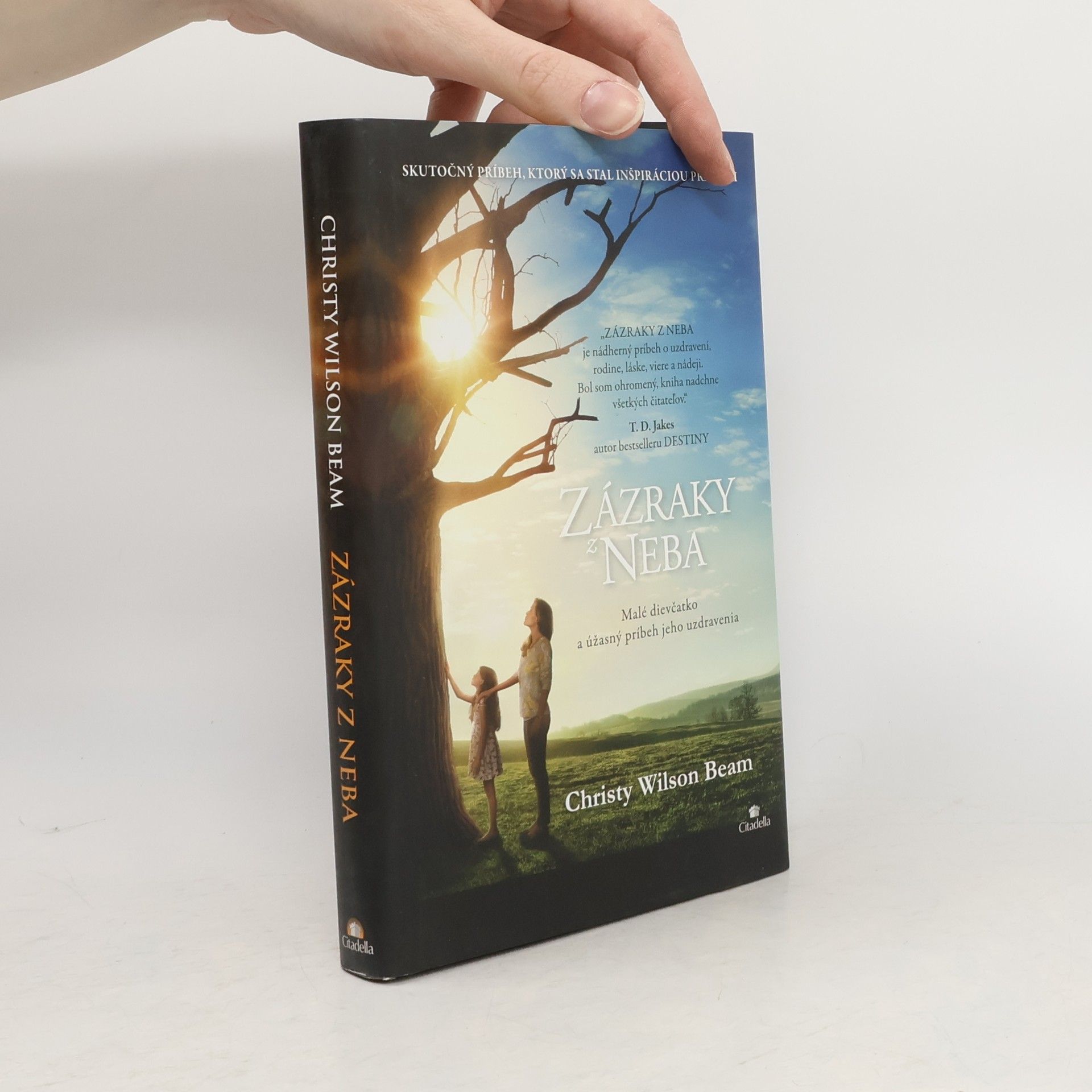 Christy Wilson Beam Zázraky z neba