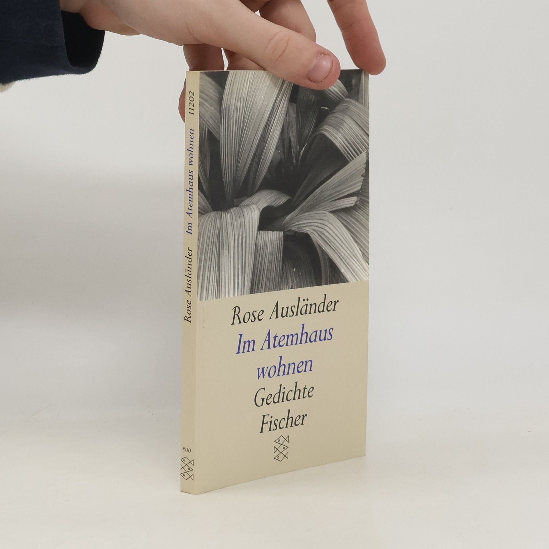Rose Ausländer Im Atemhaus wohnen. Gedichte Fischer