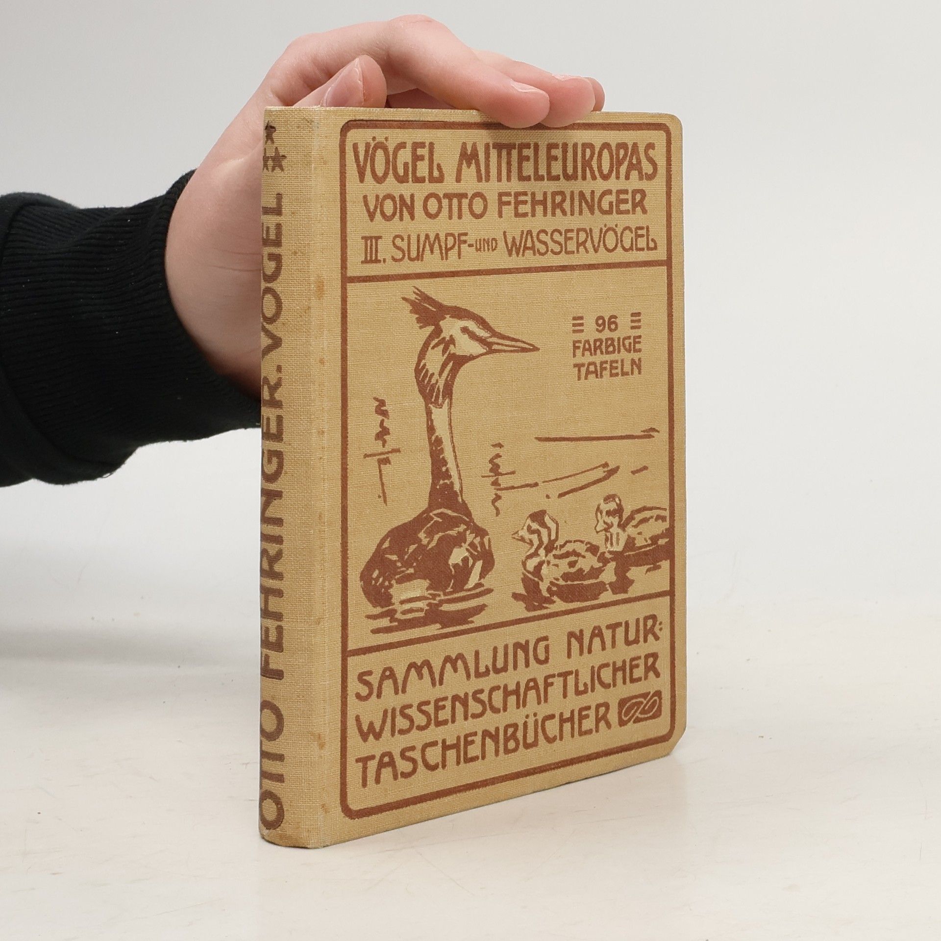 Otto Fehringer Sumpf und Wasservögel