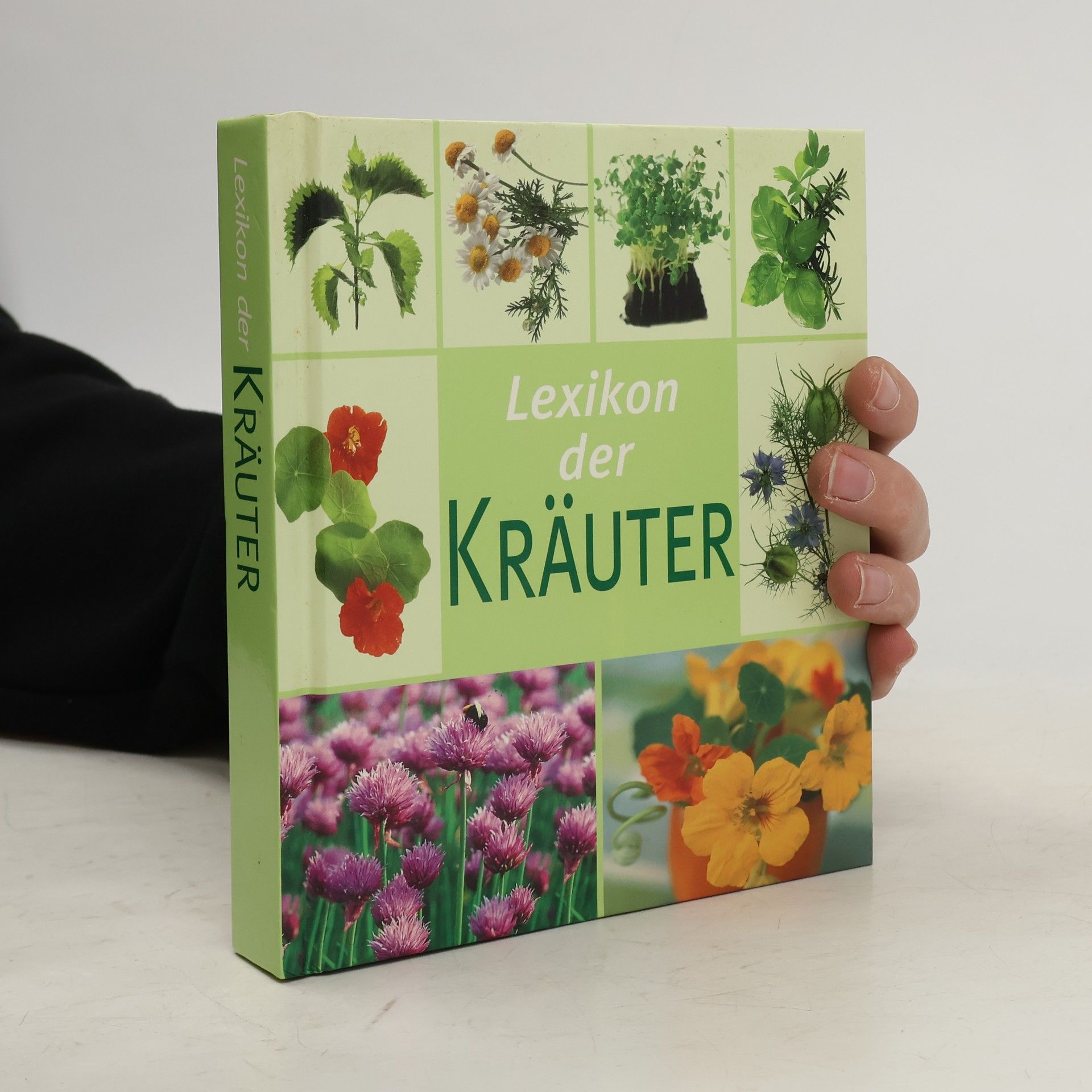Hans W. Kothe Lexikon der Kräuter