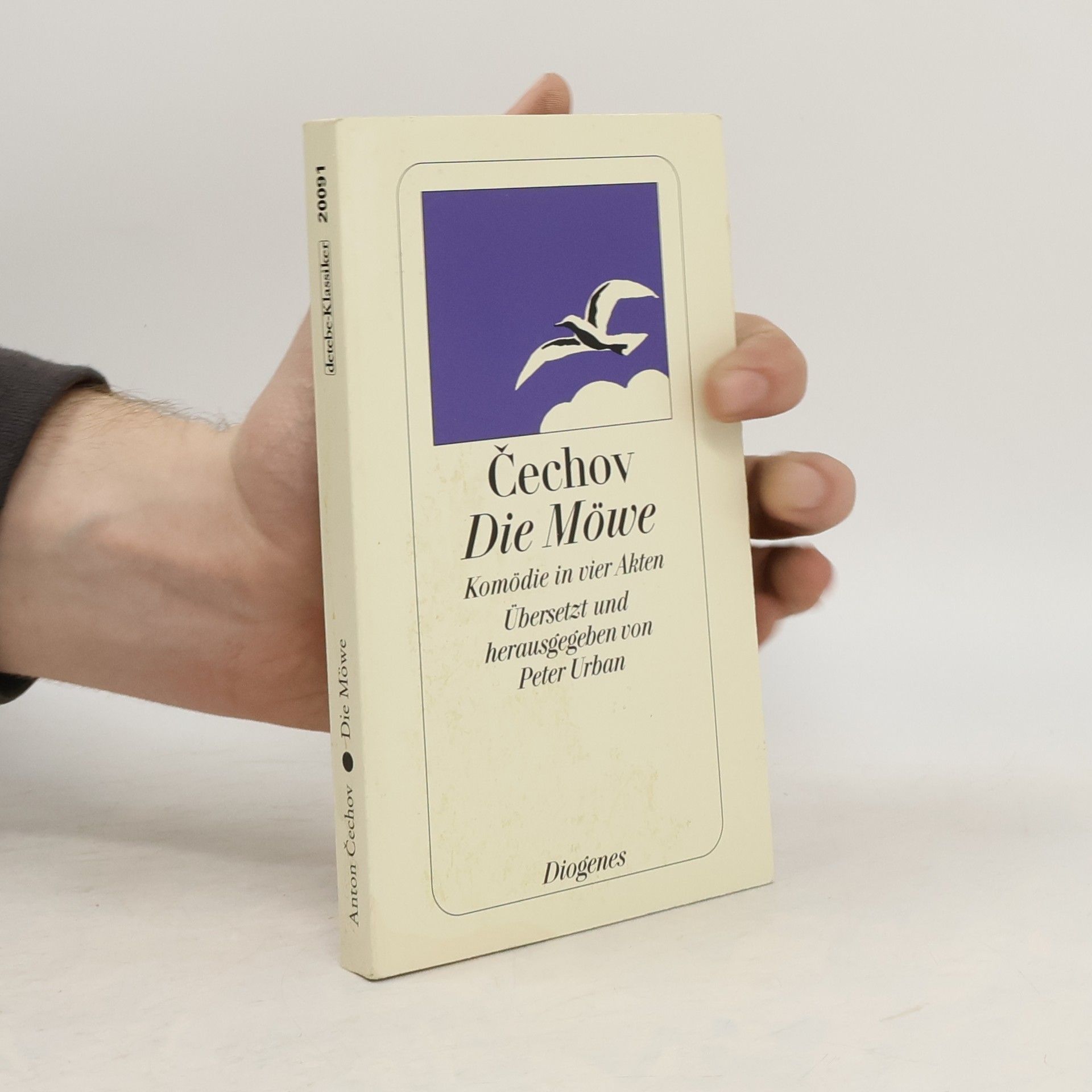 Anton Pavlovič Čechov Die Möwe