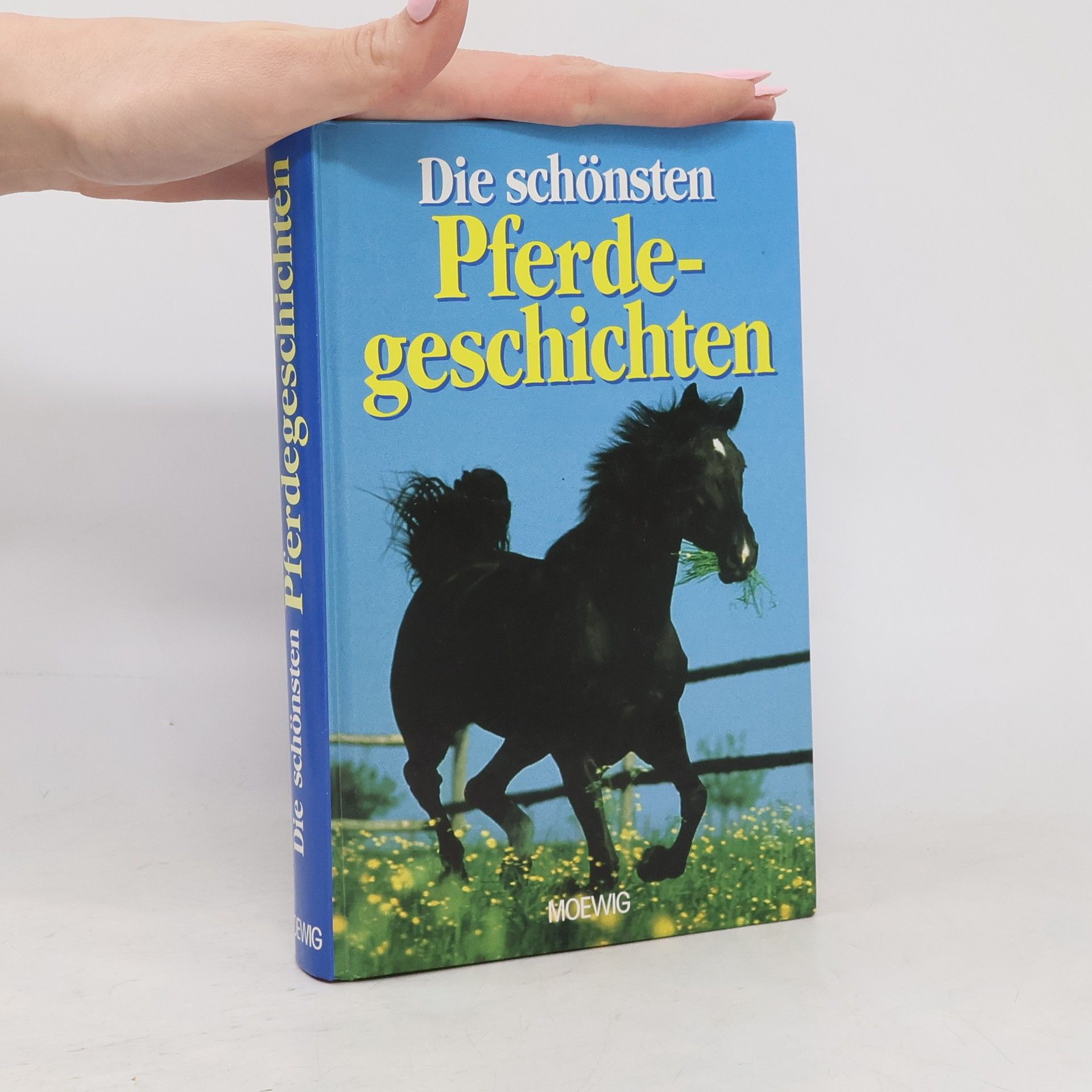 AA.VV. Die schönsten Pferdegeschichten