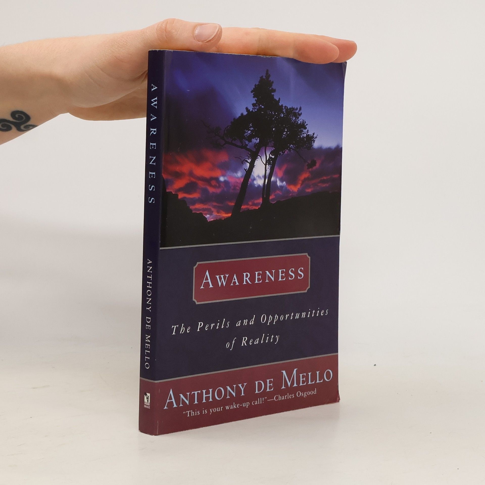 Anthony De Mello Awareness