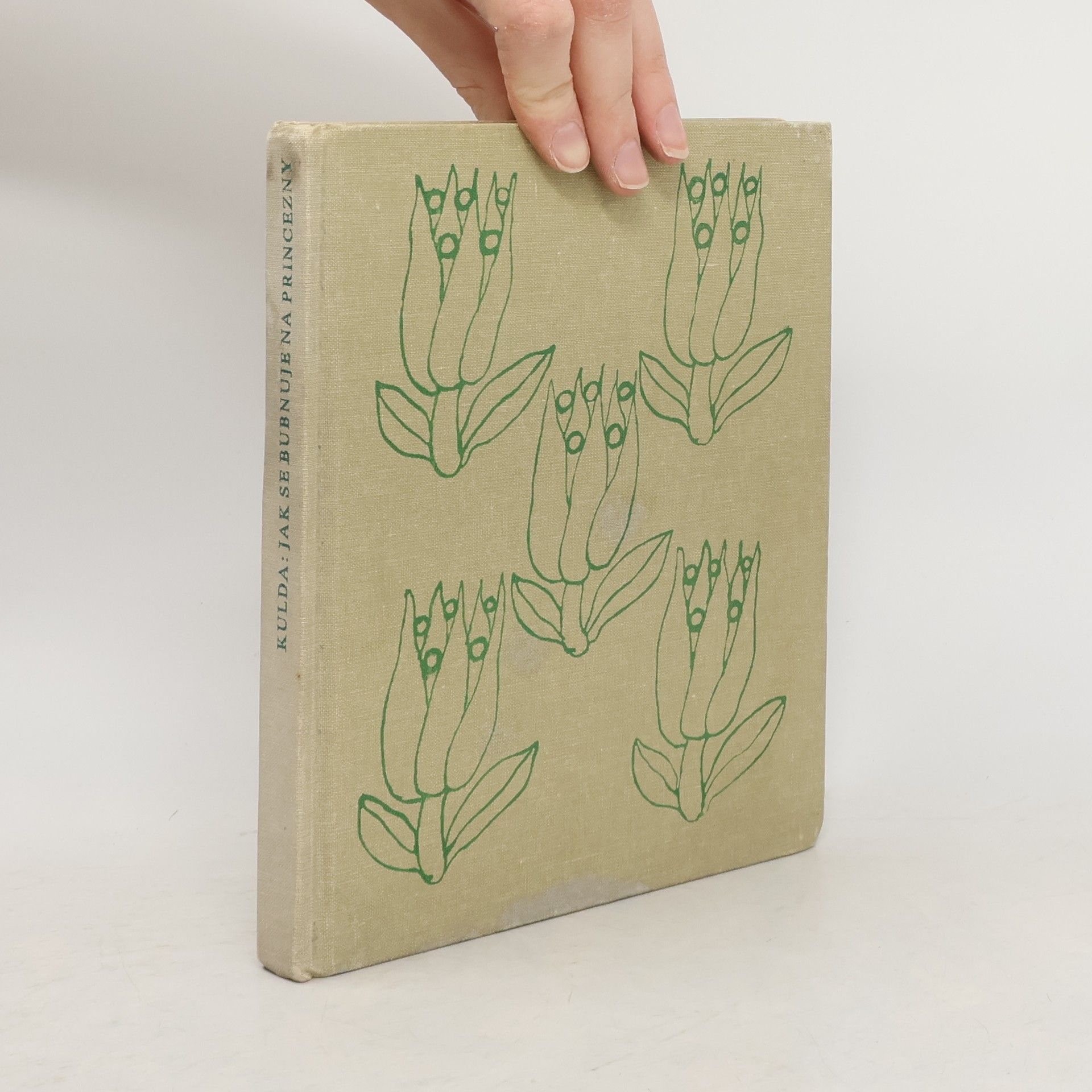 Blanka Stárková Jak se bubnuje na princezny