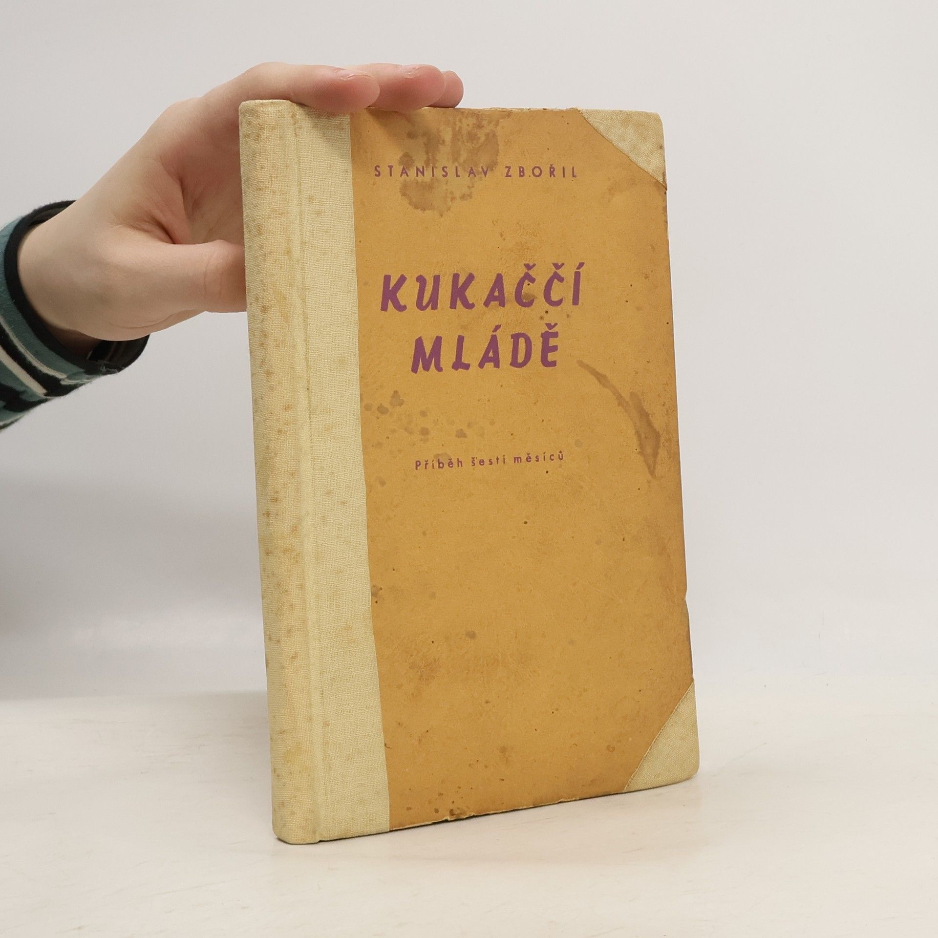 Zbořil Stanislav Kukaččí mládě