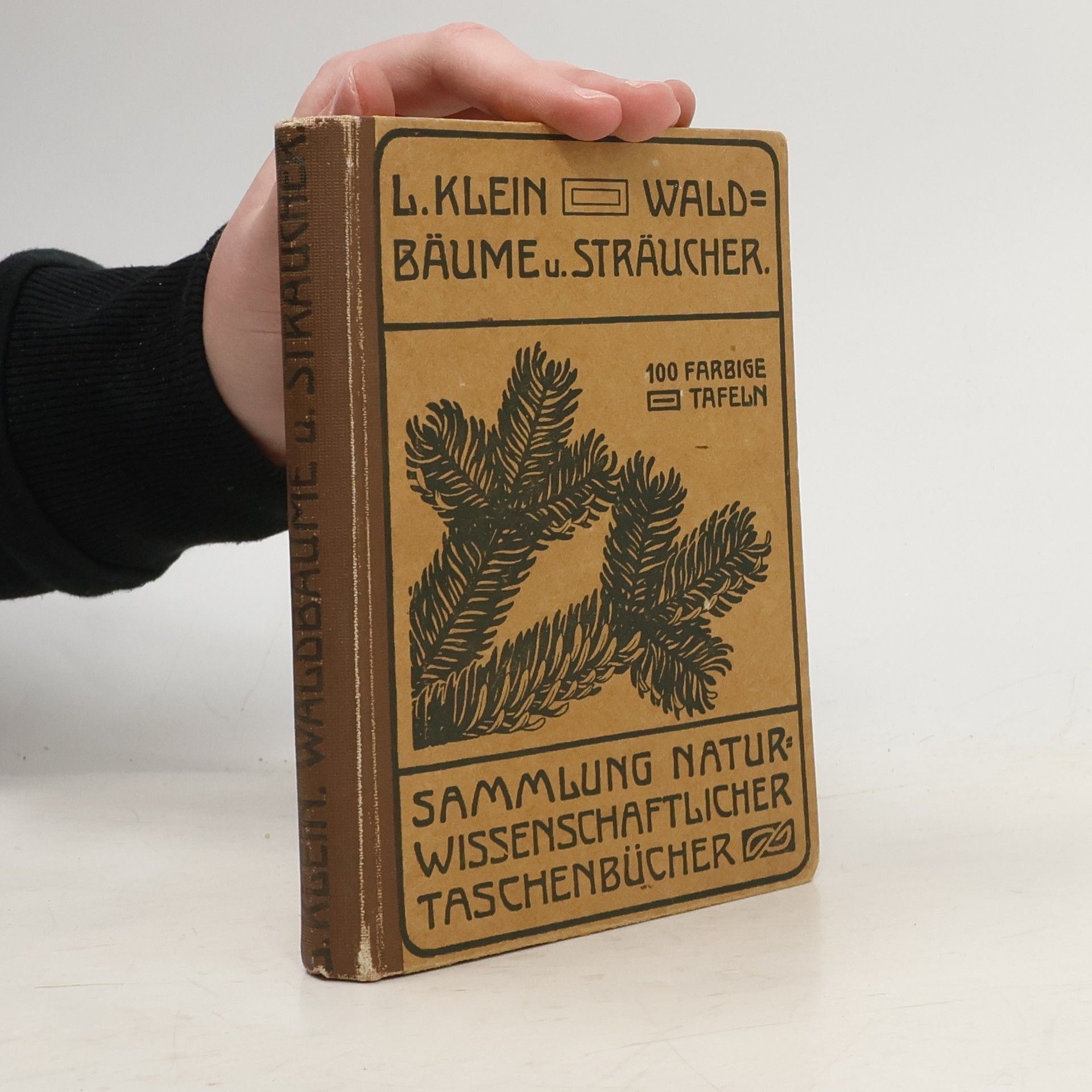 L. Klein Unsere Waldbäume, Sträucher und Zwergholzgewächse