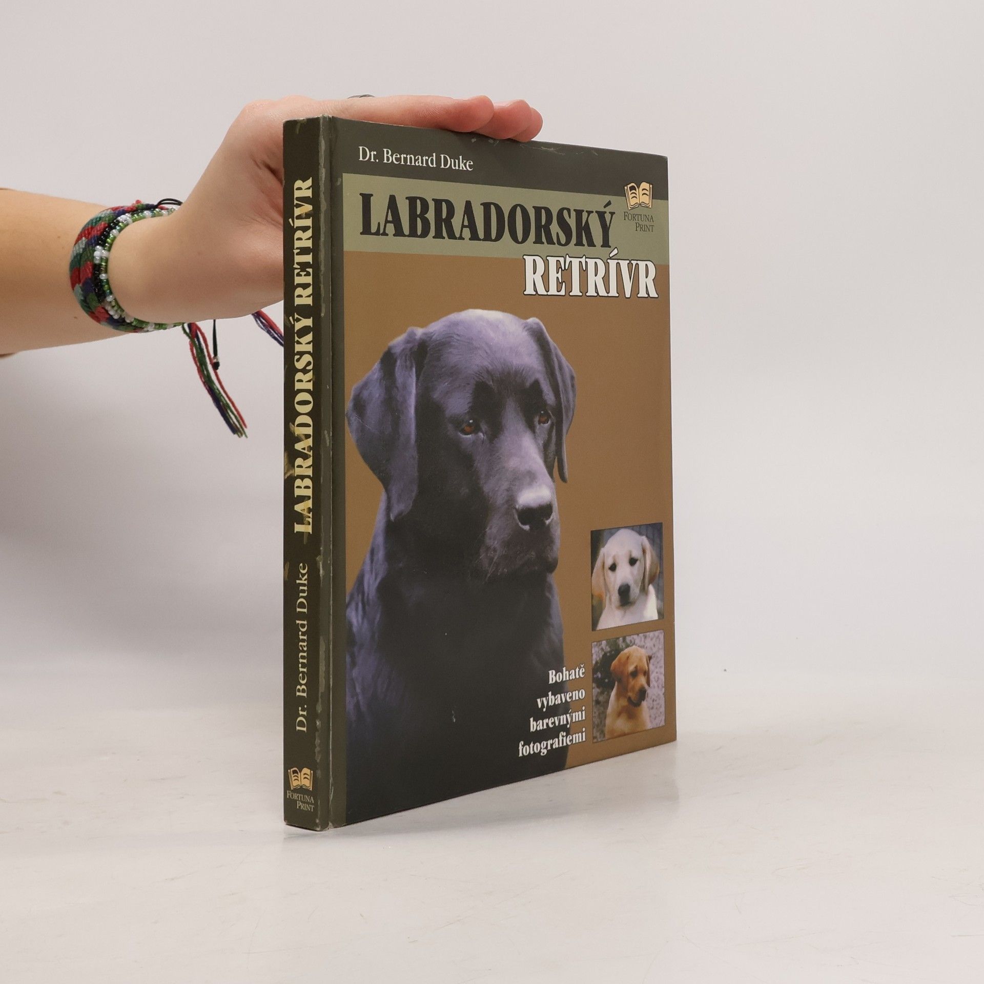 Bernard Duke Labradorský retrívr