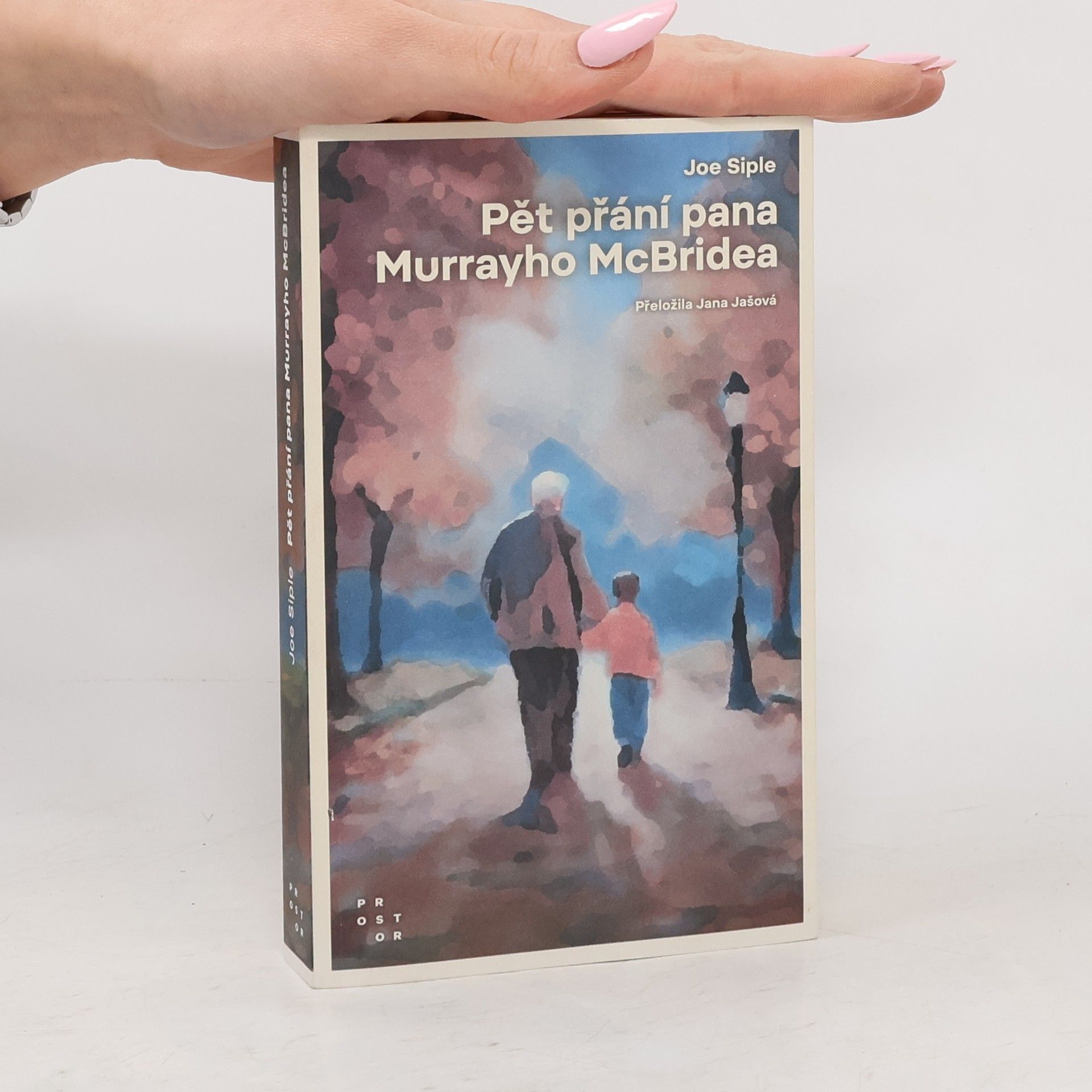 Joe Siple Pět přání pana Murrayho McBridea
