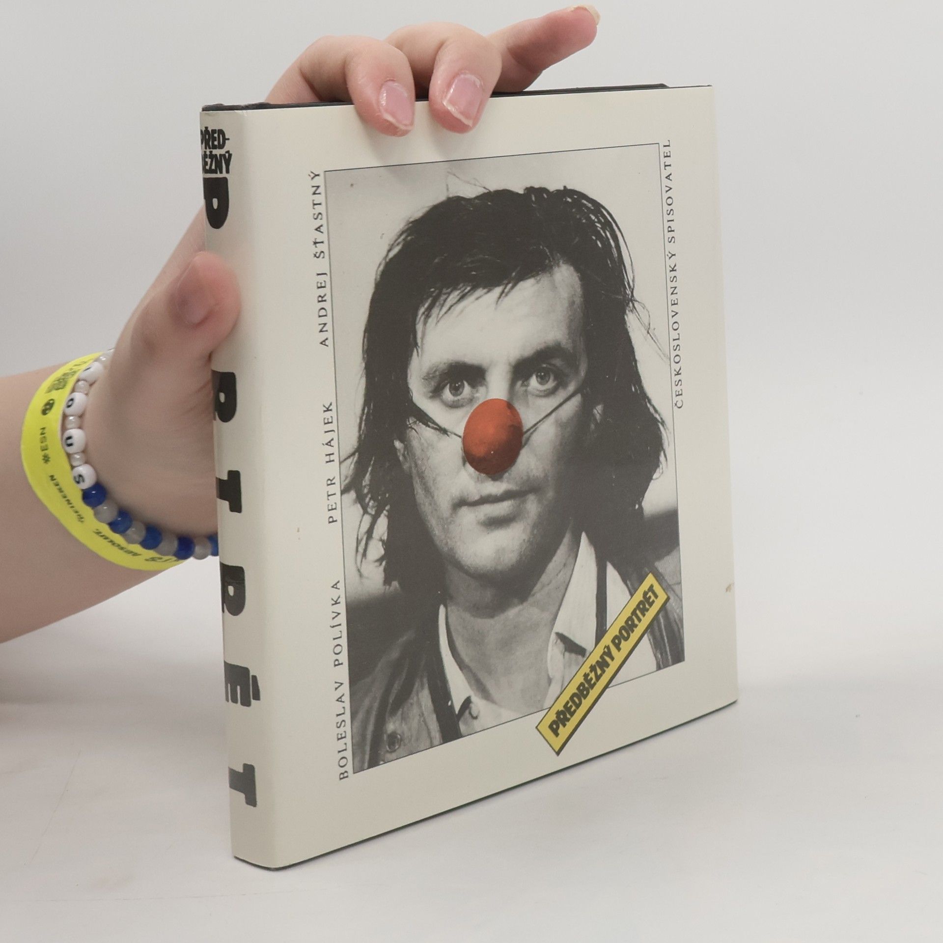 Petr Hájek Předběžný portrét