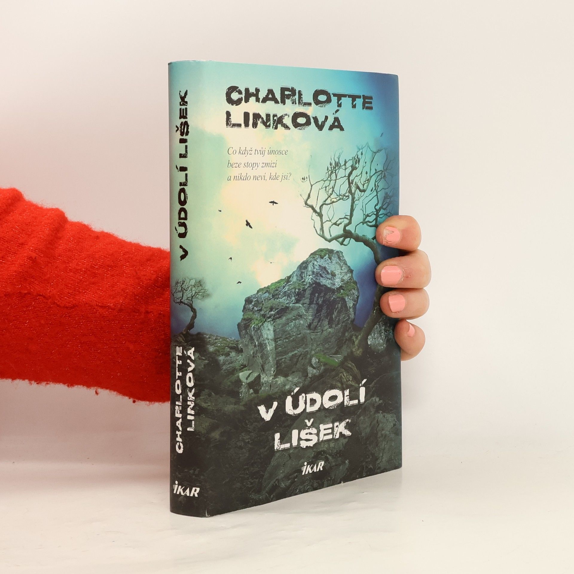 Charlotte Link V údolí lišek